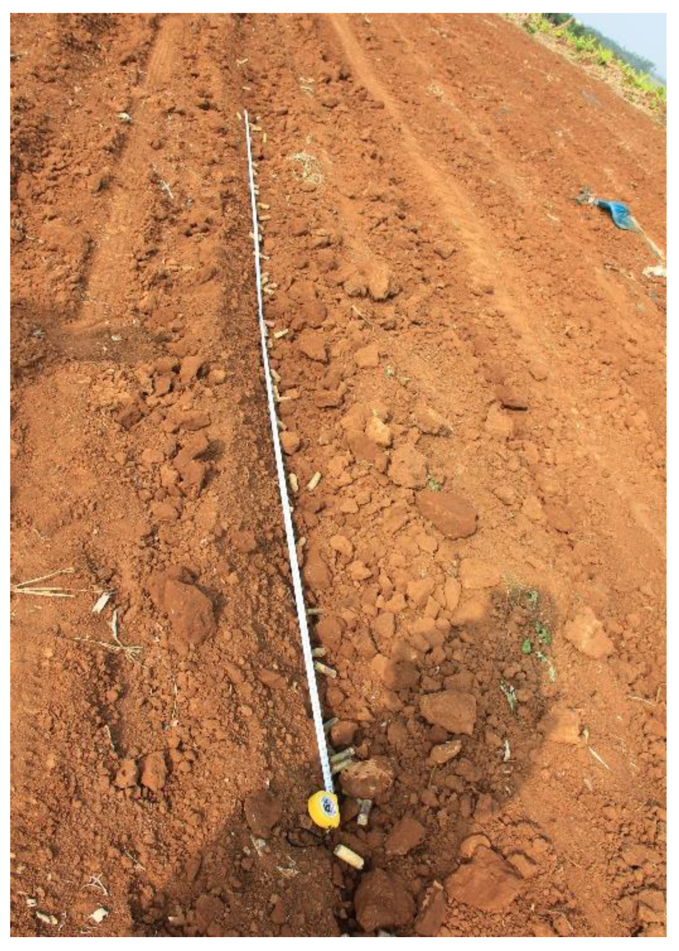 Agriculture 12 00908 g005