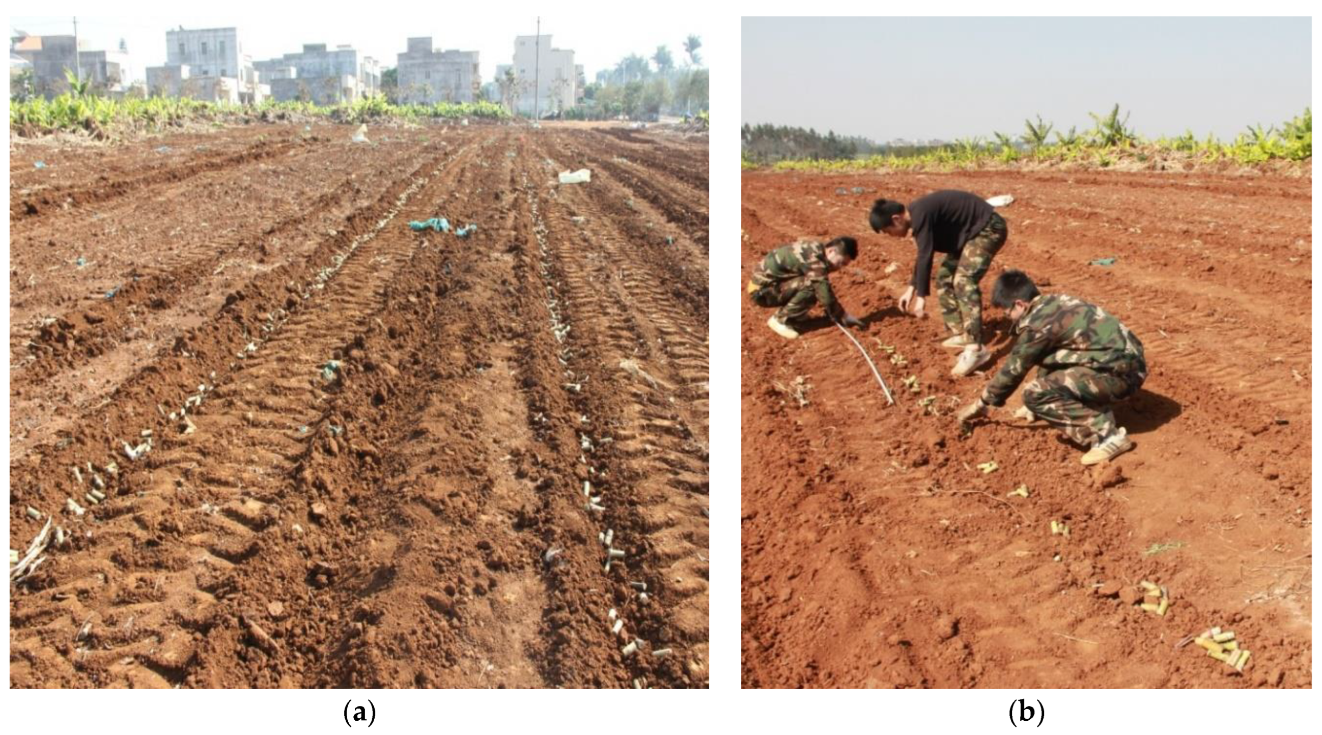 Agriculture 12 00908 g011