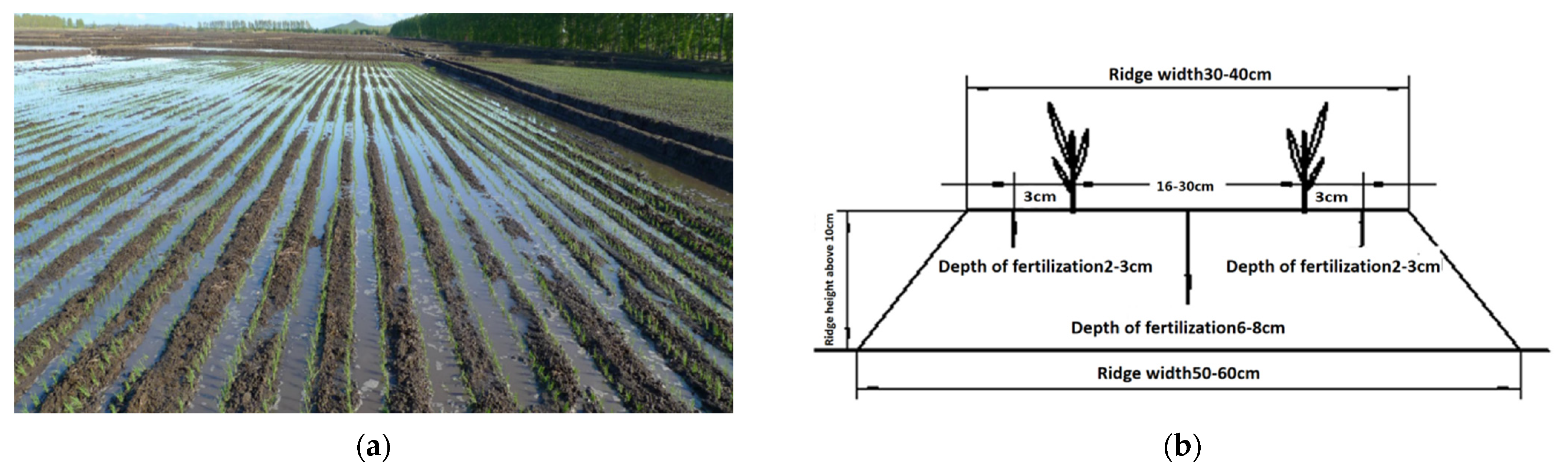 Agriculture 12 00923 g001