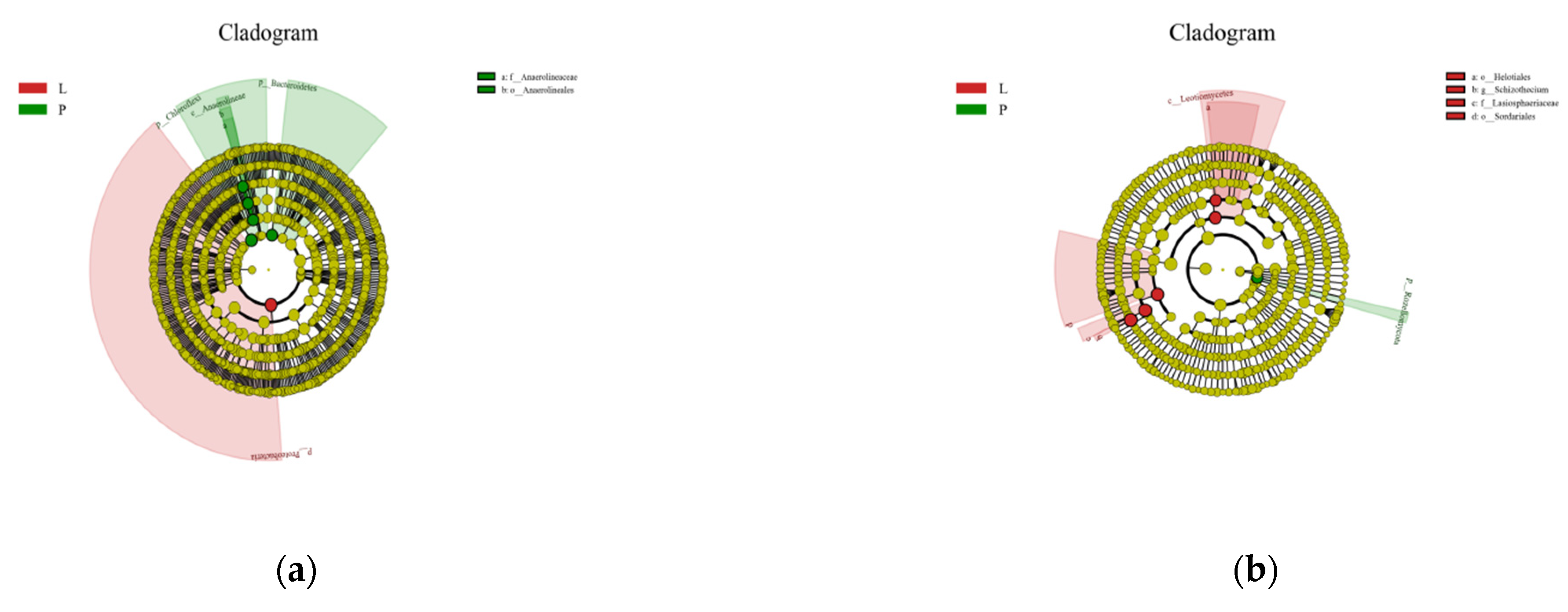 Agriculture 12 00923 g005