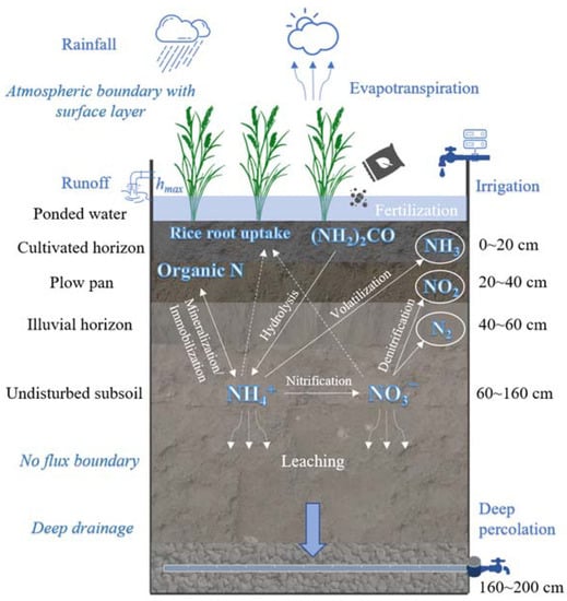 Agriculture | Free Full-Text | Modeling the Water and Nitrogen