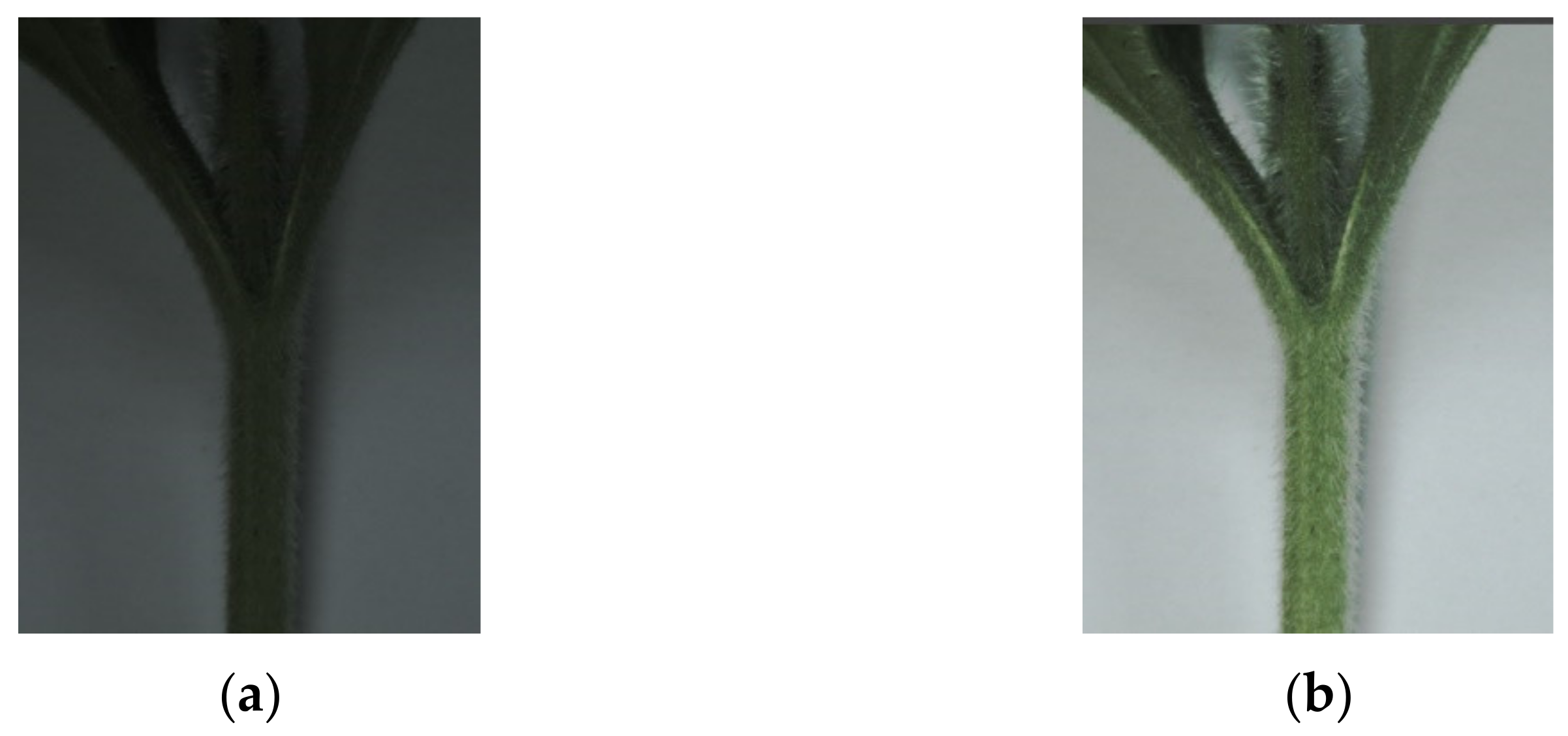 Agriculture 12 00929 g005