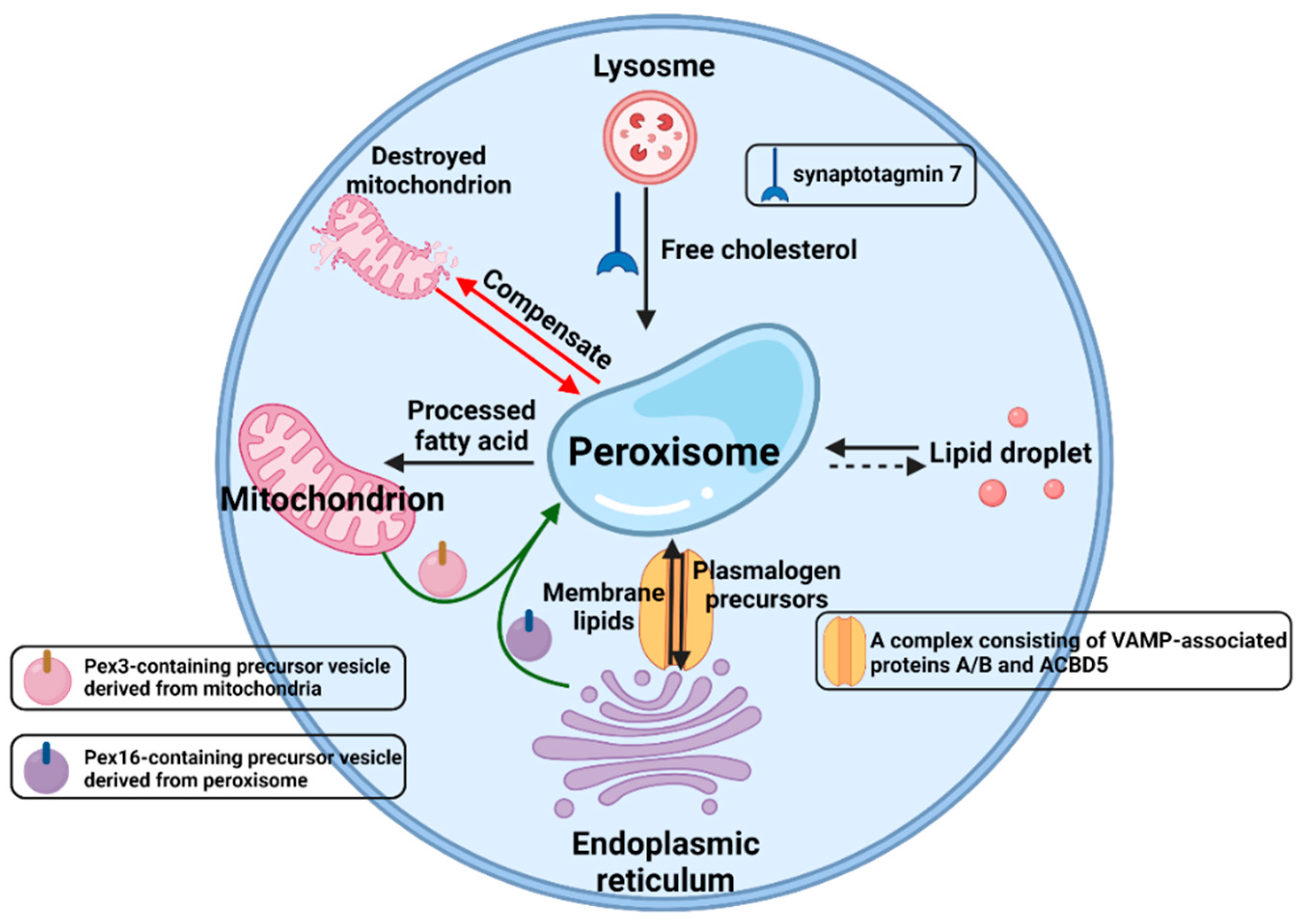Agriculture 12 00947 g006