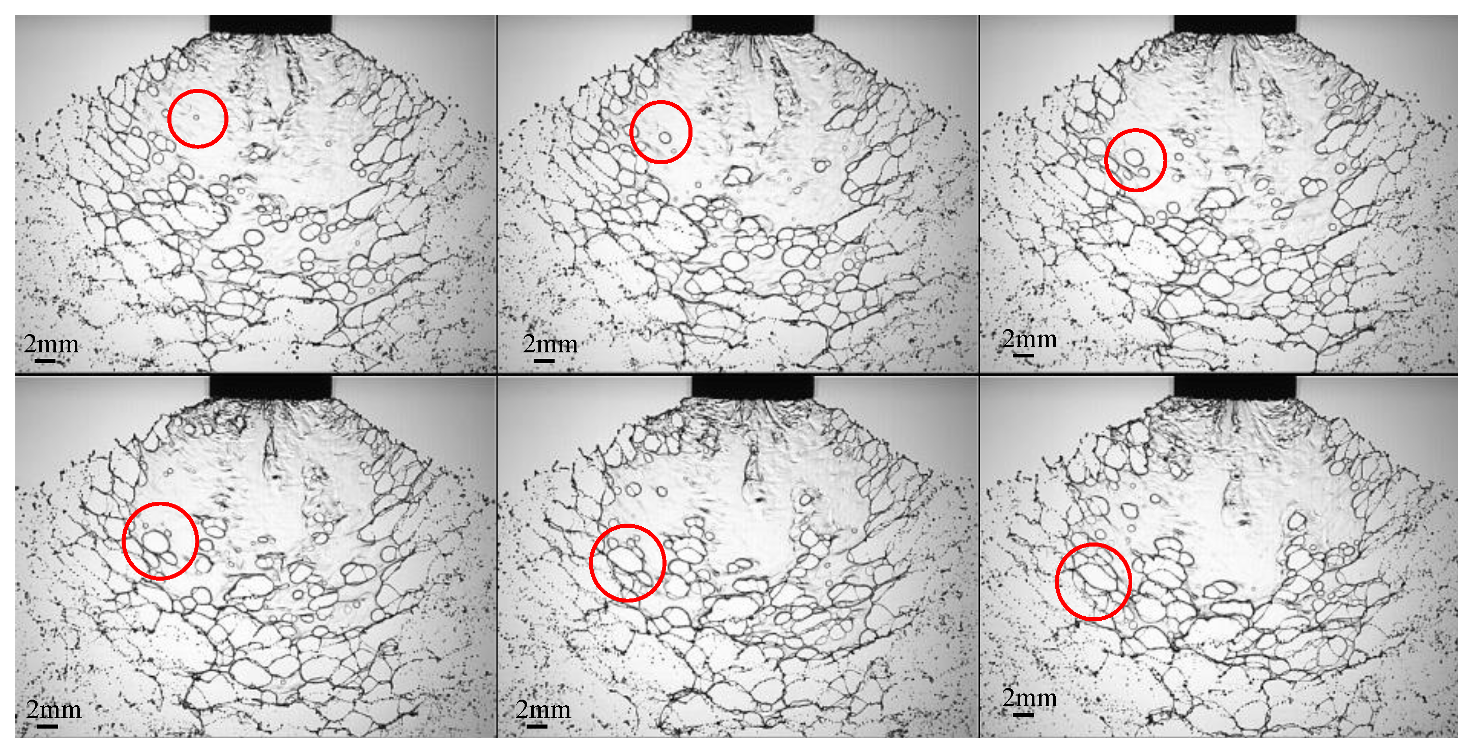 Agriculture 12 00949 g005