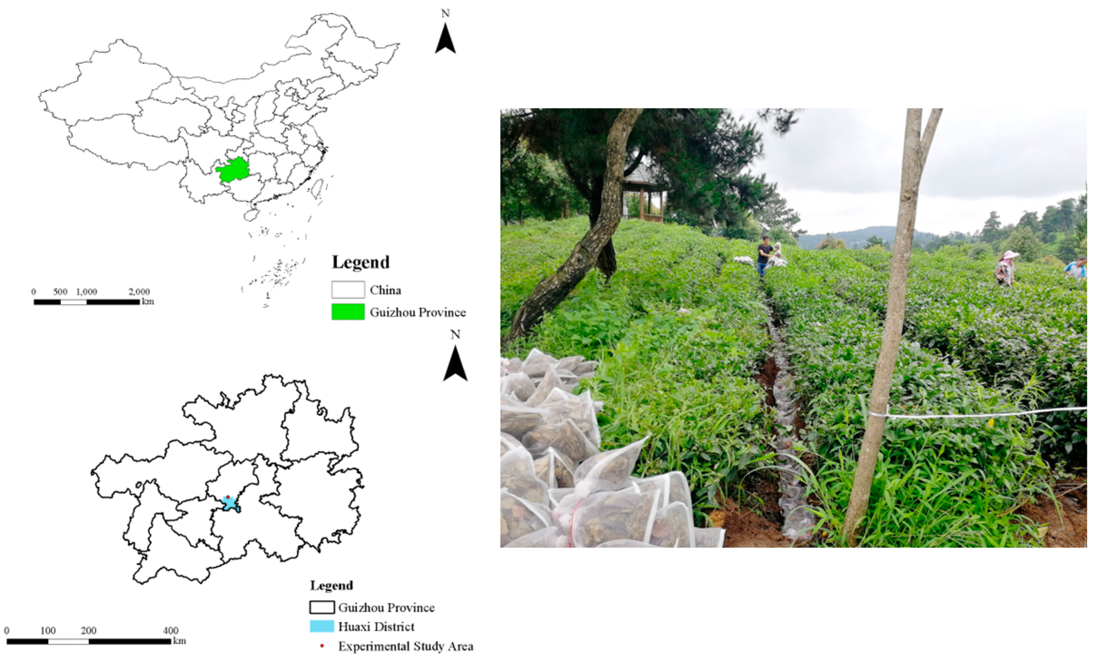 Agriculture 12 00957 g001