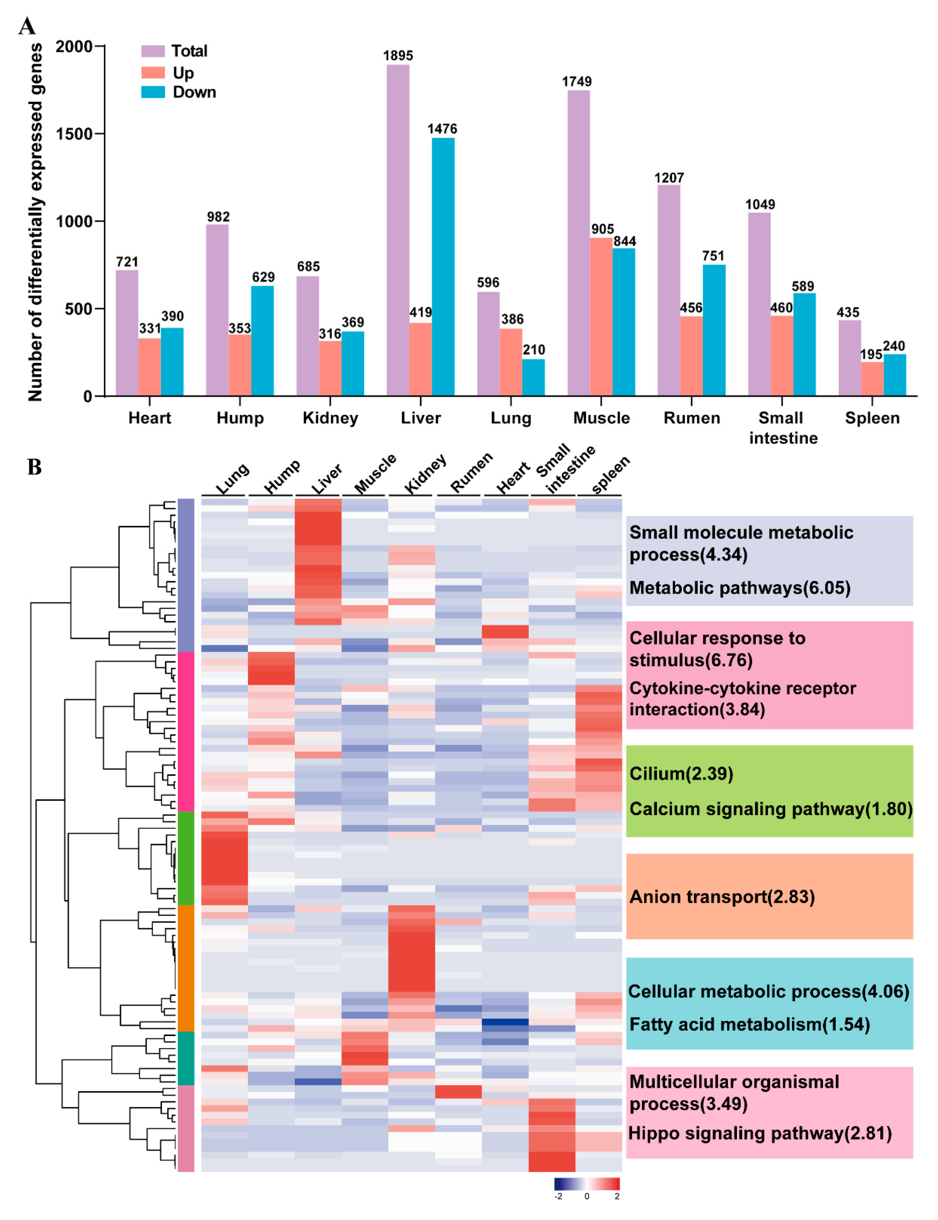 Agriculture 12 00958 g003