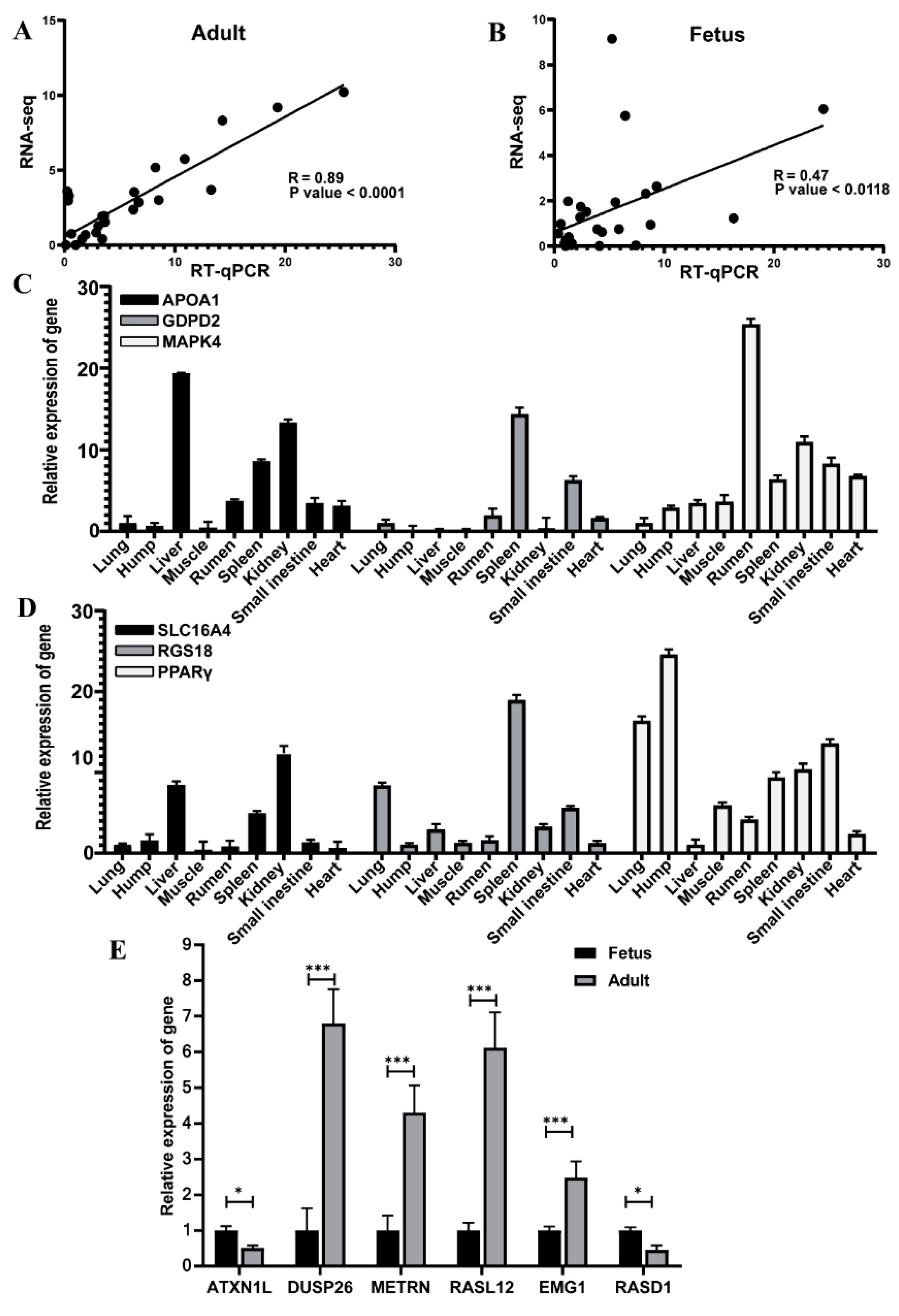 Agriculture 12 00958 g004