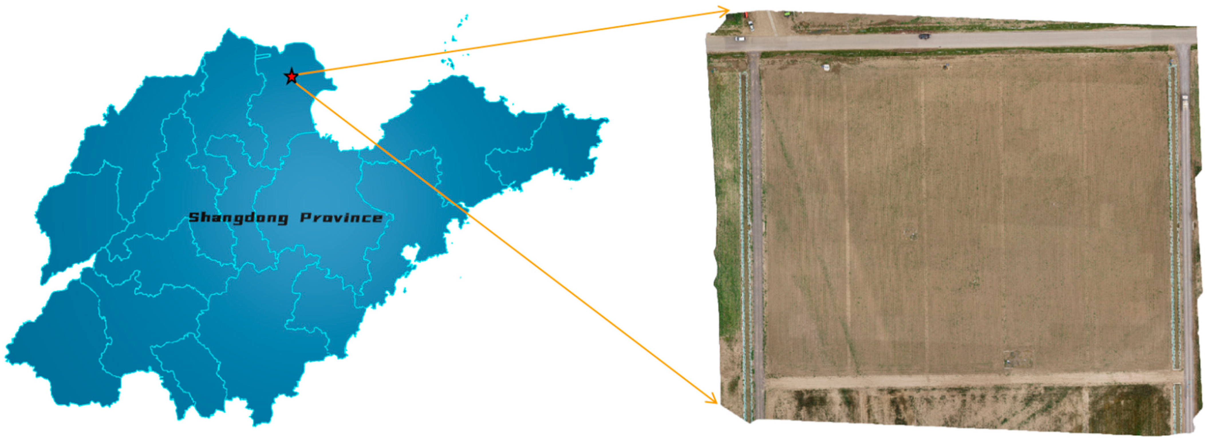 Agriculture 12 00975 g002