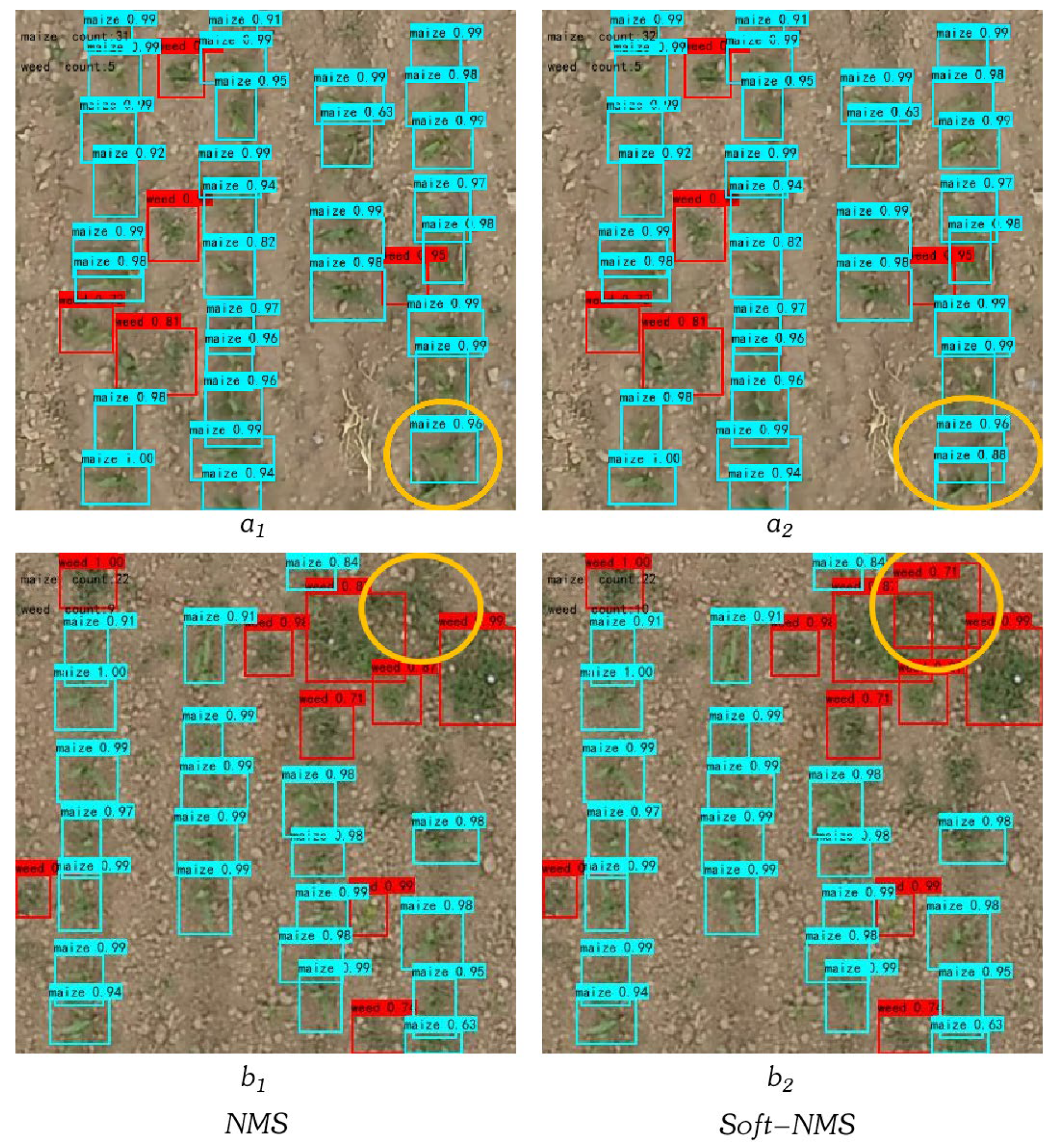 Agriculture 12 00975 g008
