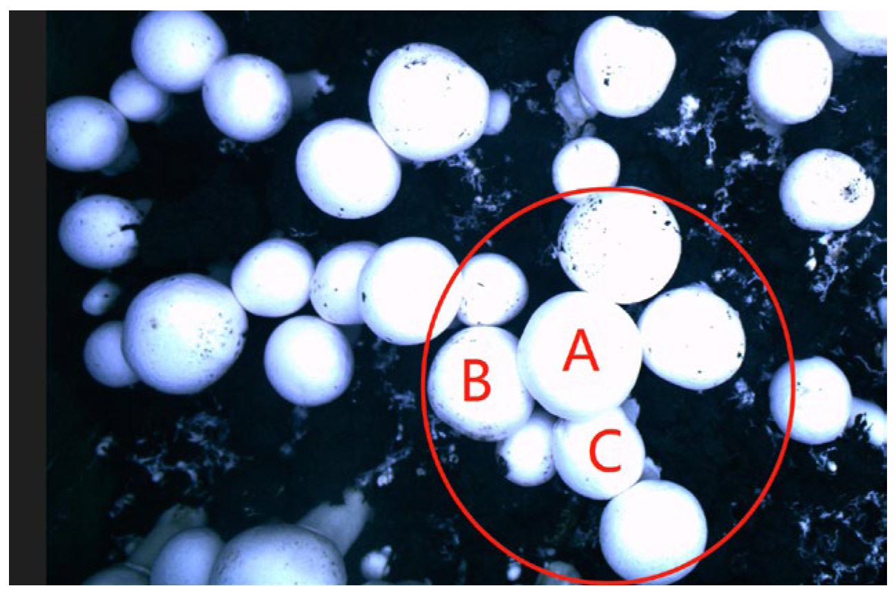 Agriculture 12 00986 g001