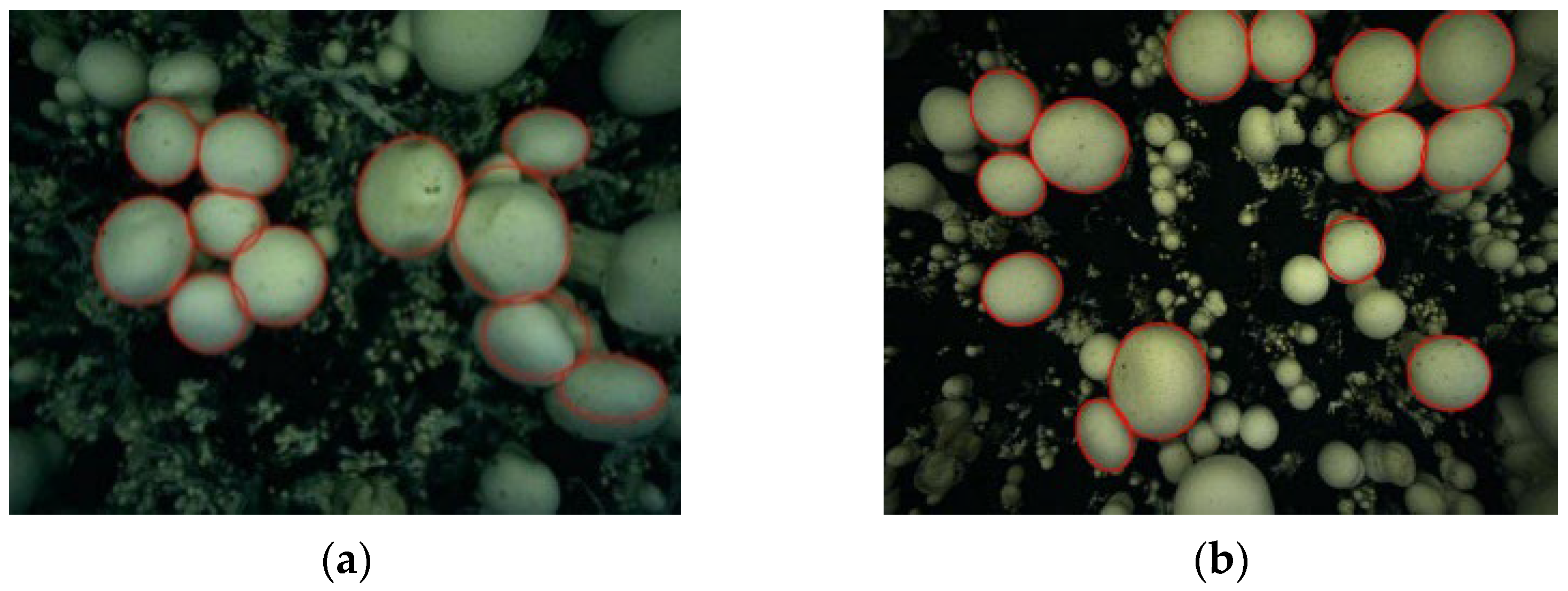 Agriculture 12 00986 g007