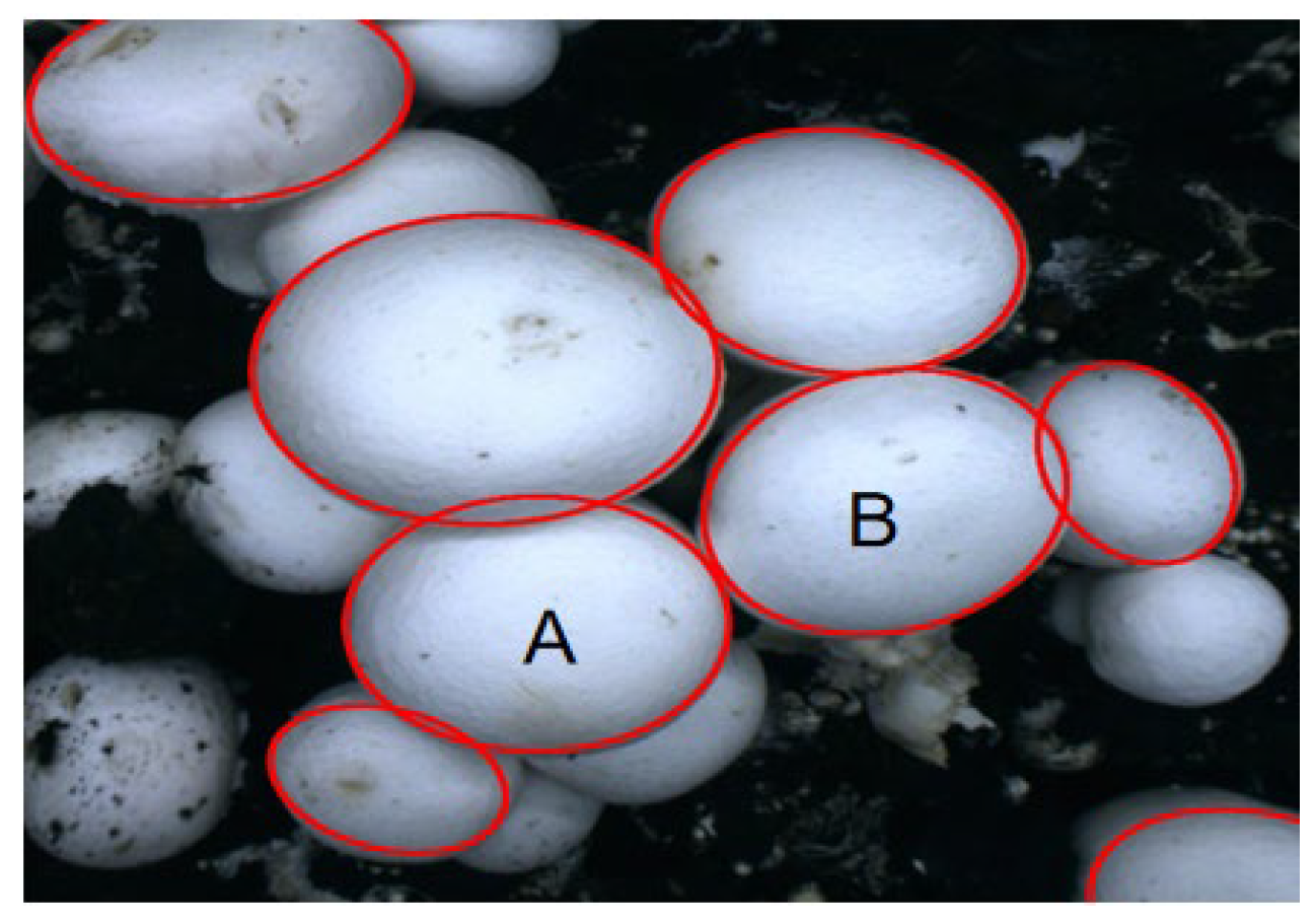 Agriculture 12 00986 g009