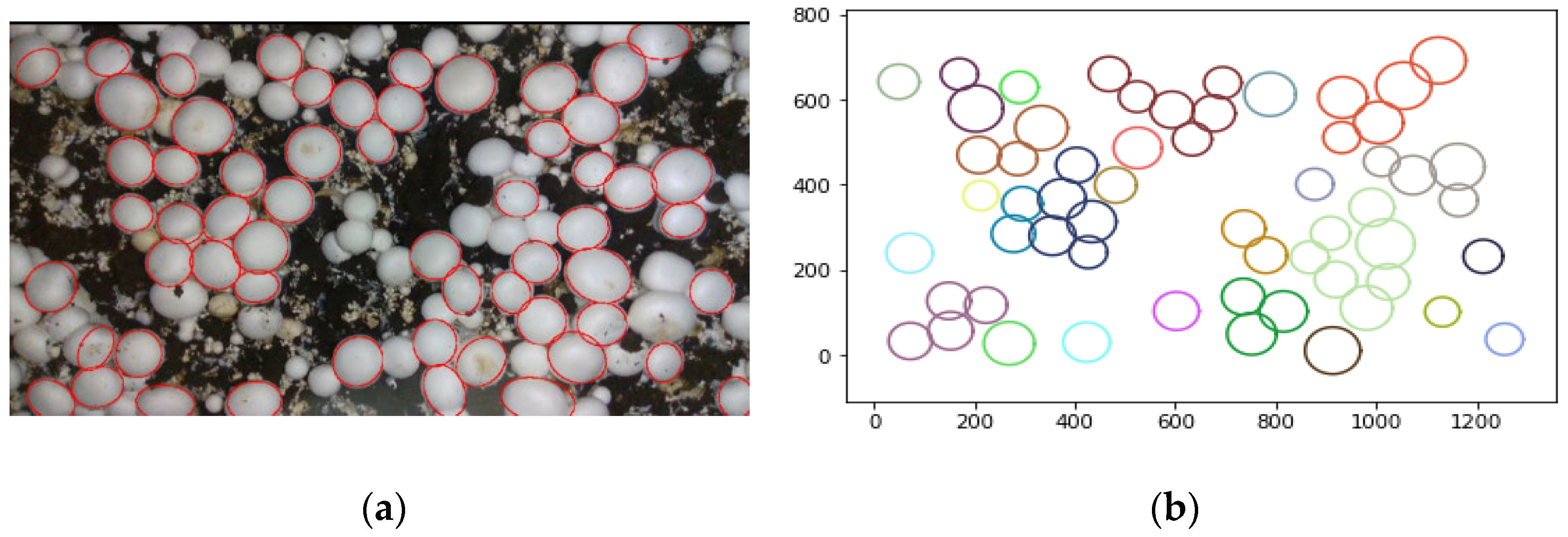 Agriculture 12 00986 g012