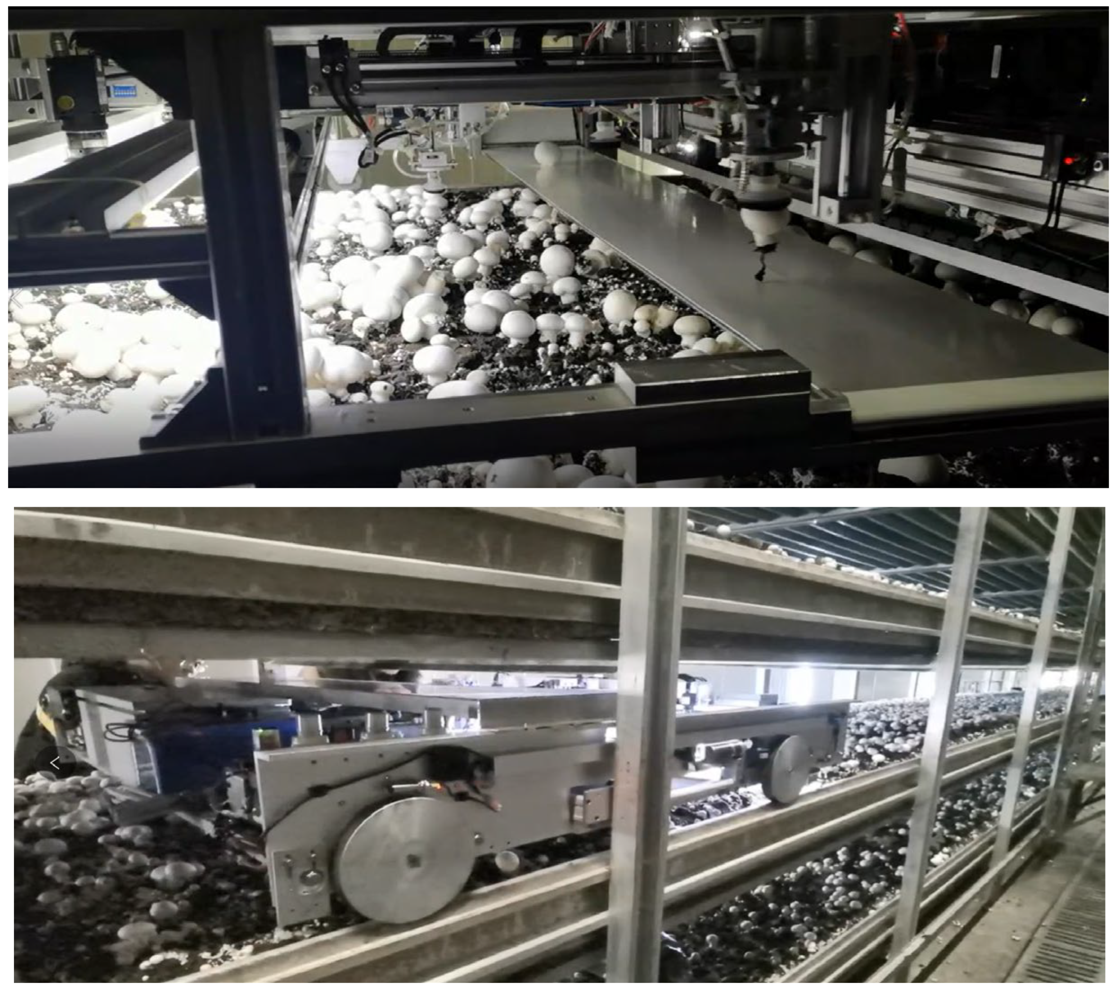 Agriculture 12 00986 g013