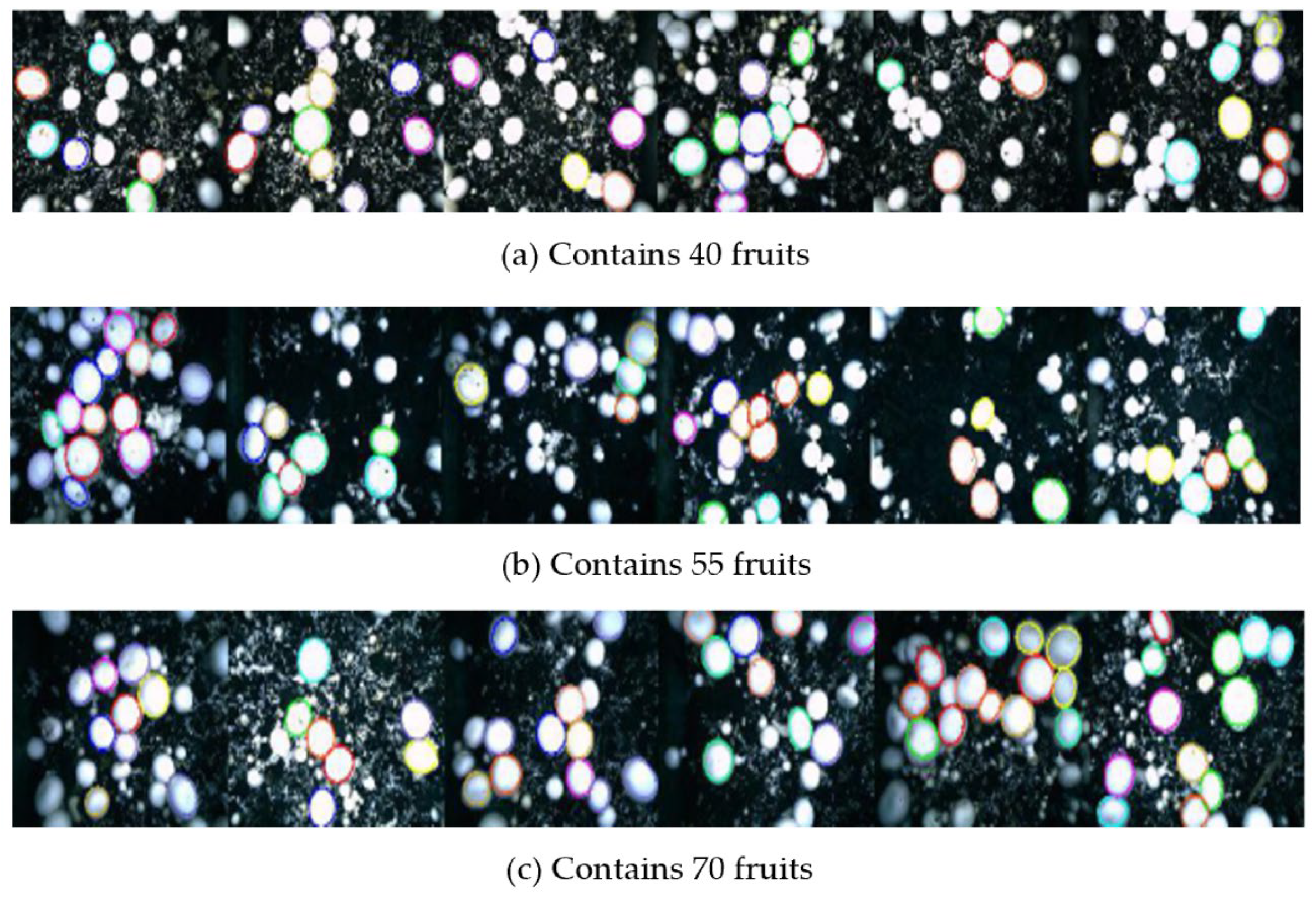 Agriculture 12 00986 g014