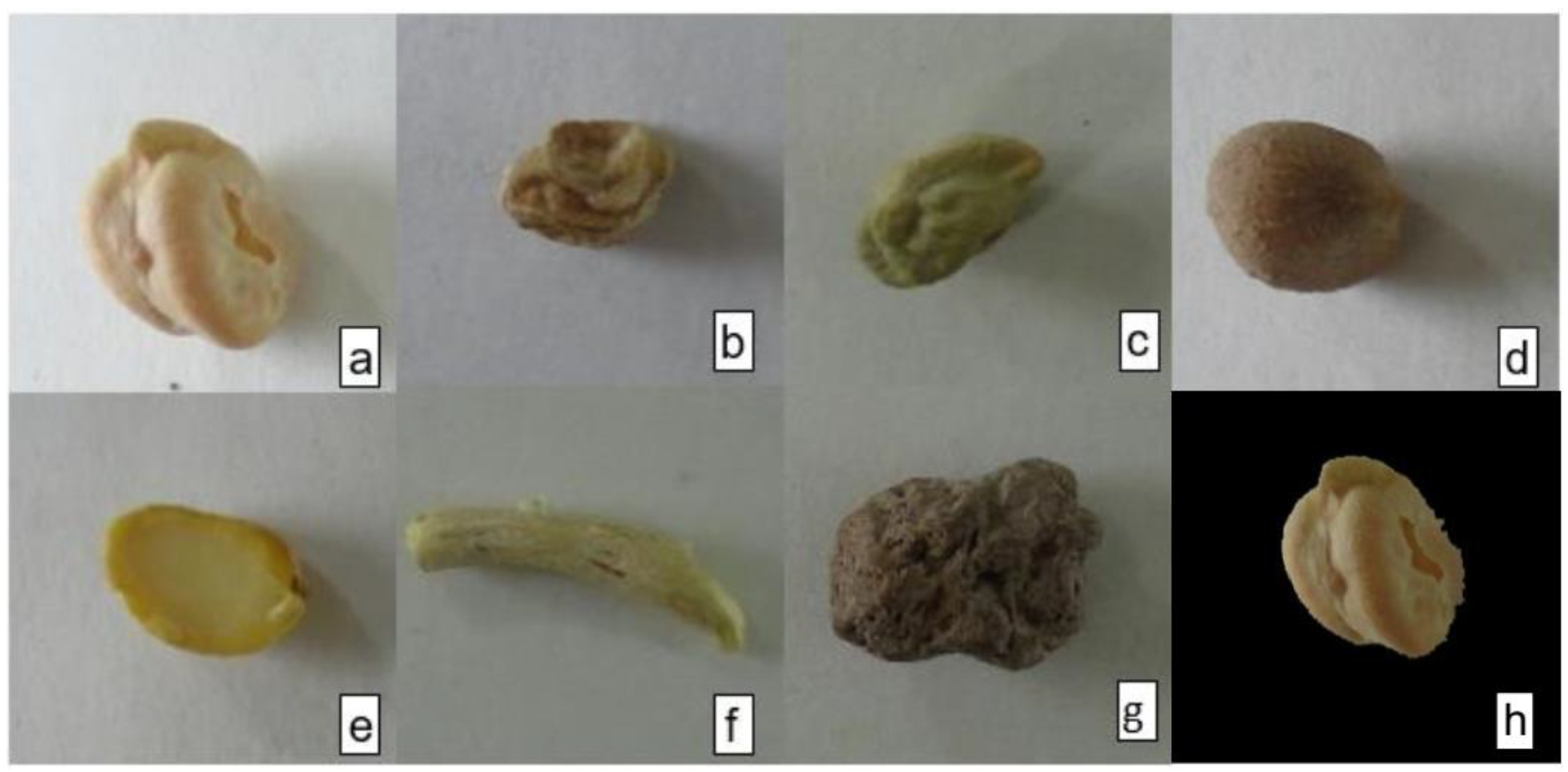 Agriculture 12 00995 g001