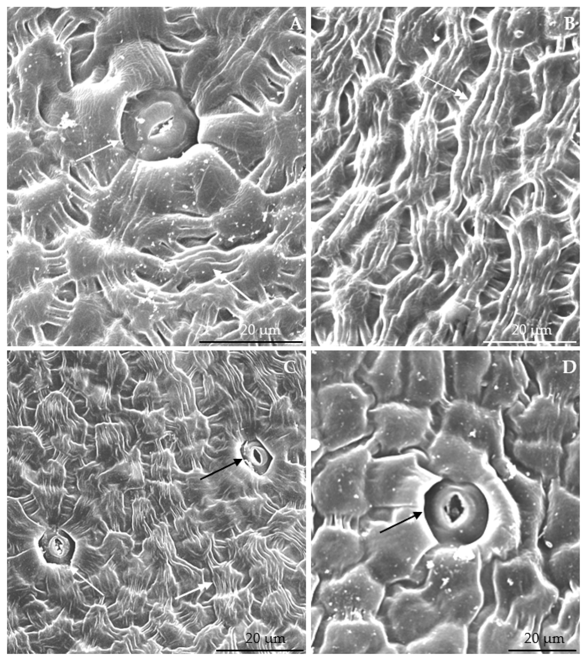 Agriculture 12 01017 g008