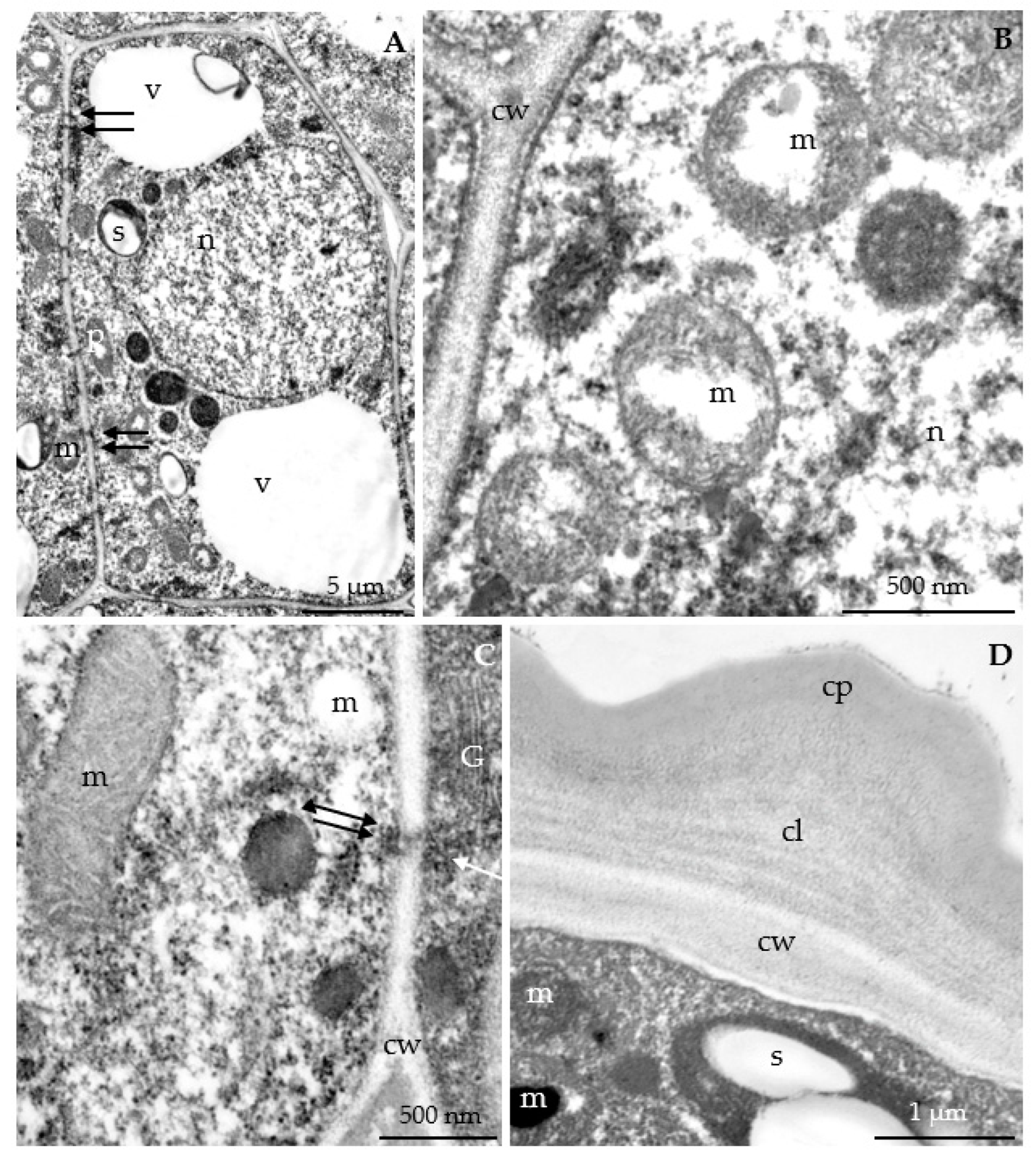Agriculture 12 01017 g018