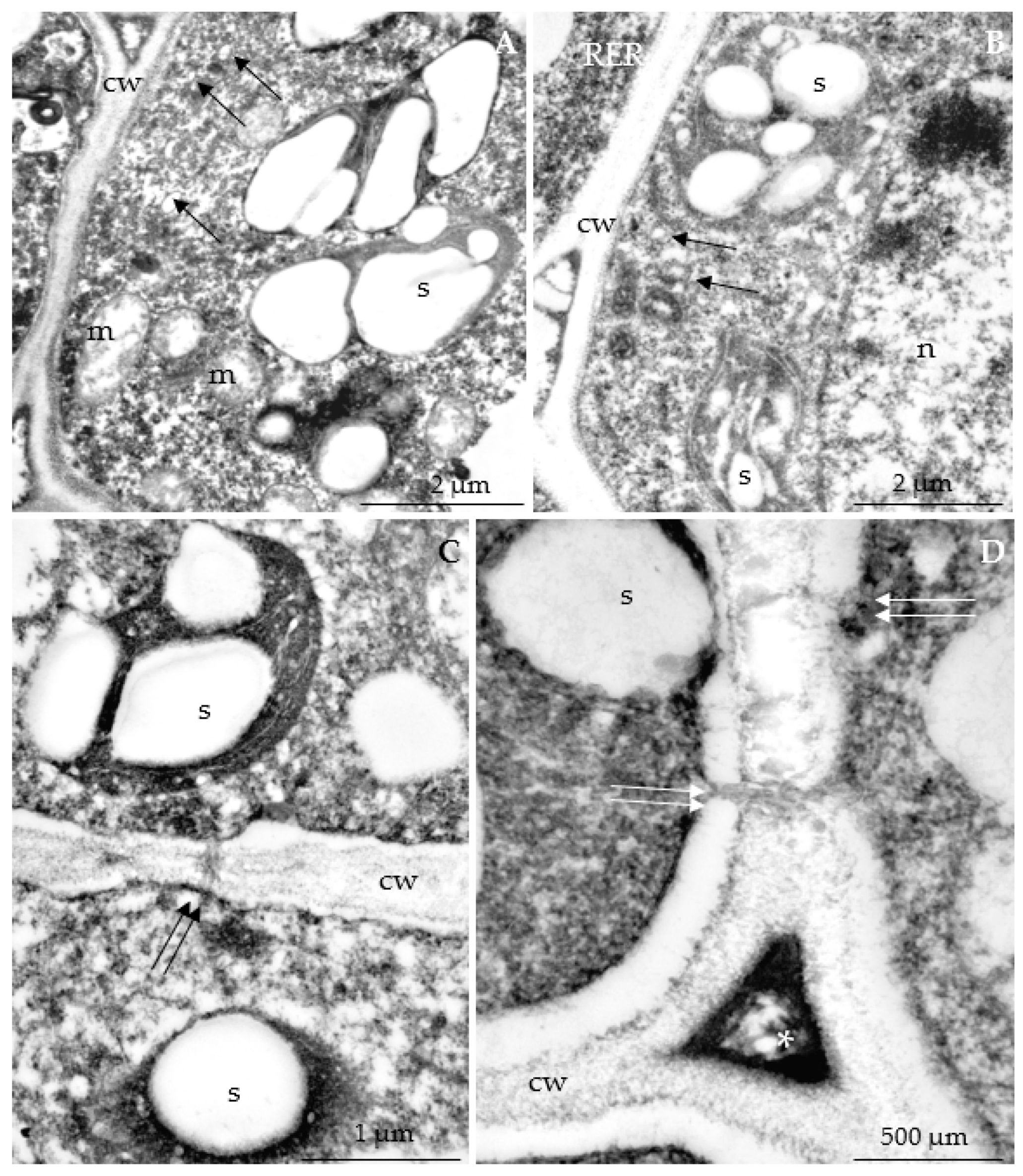 Agriculture 12 01017 g021