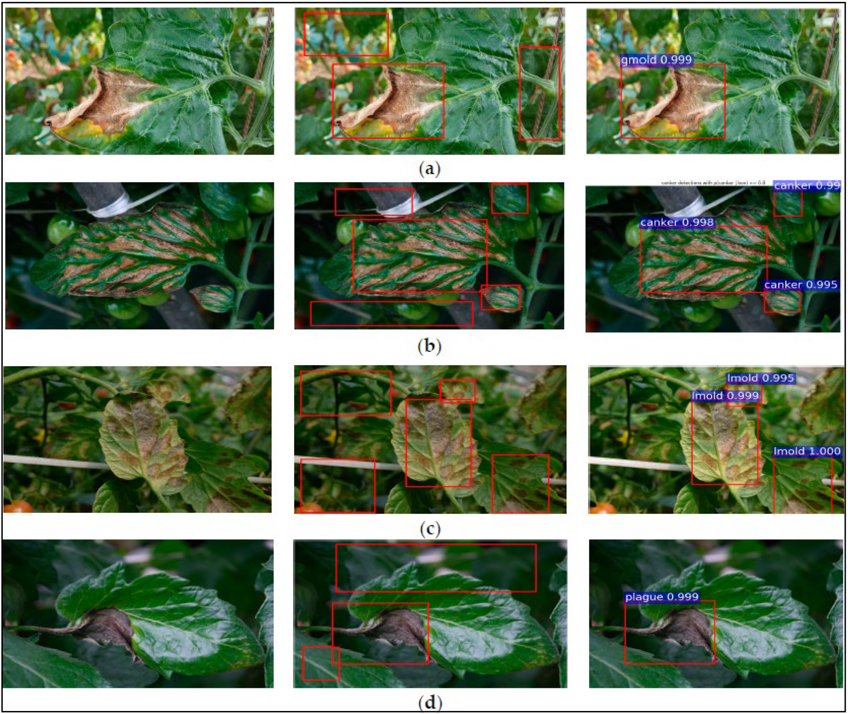 Agriculture 12 01033 g004