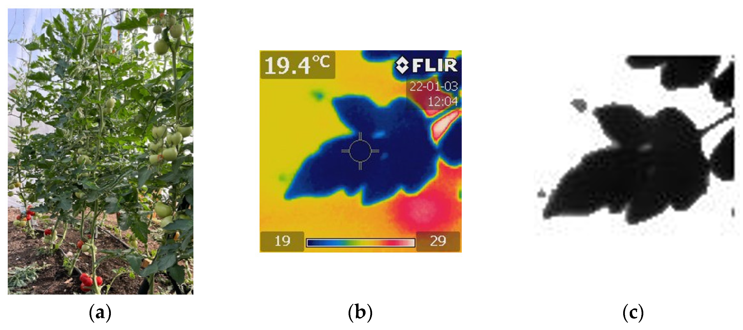 Agriculture 12 01034 g001