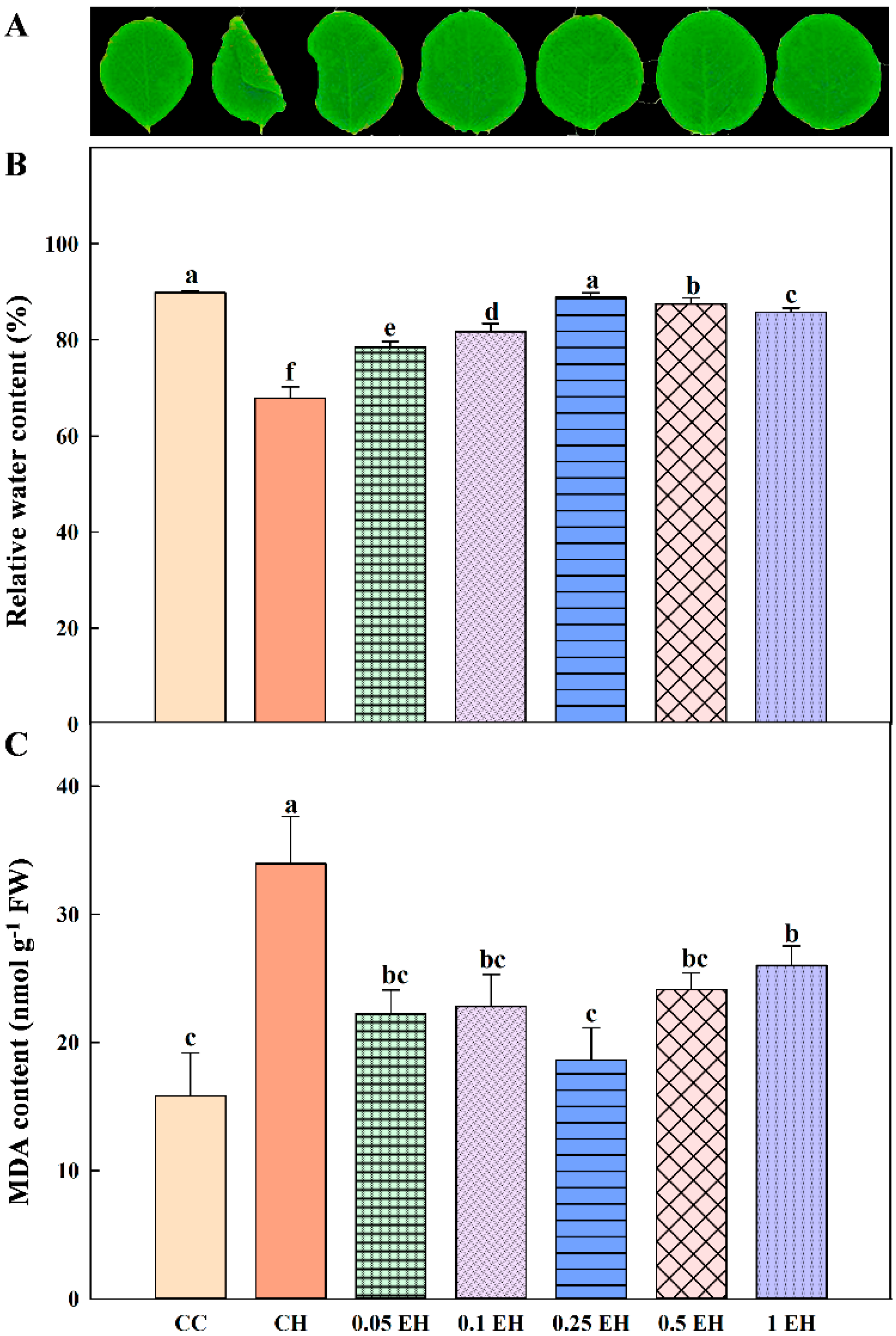 Agriculture 12 01095 g001