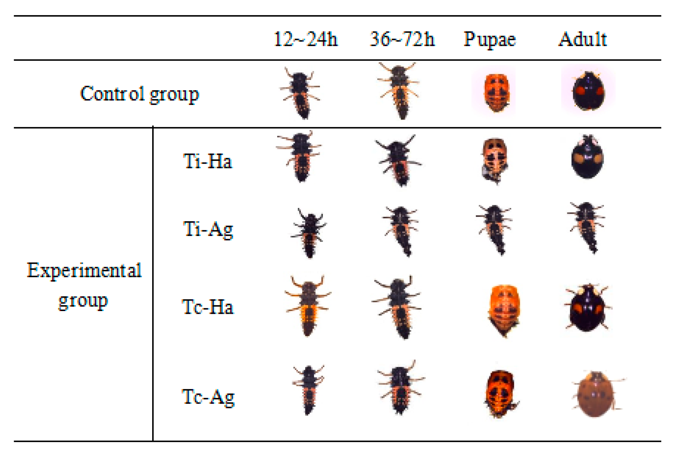 Agriculture 12 01134 g001