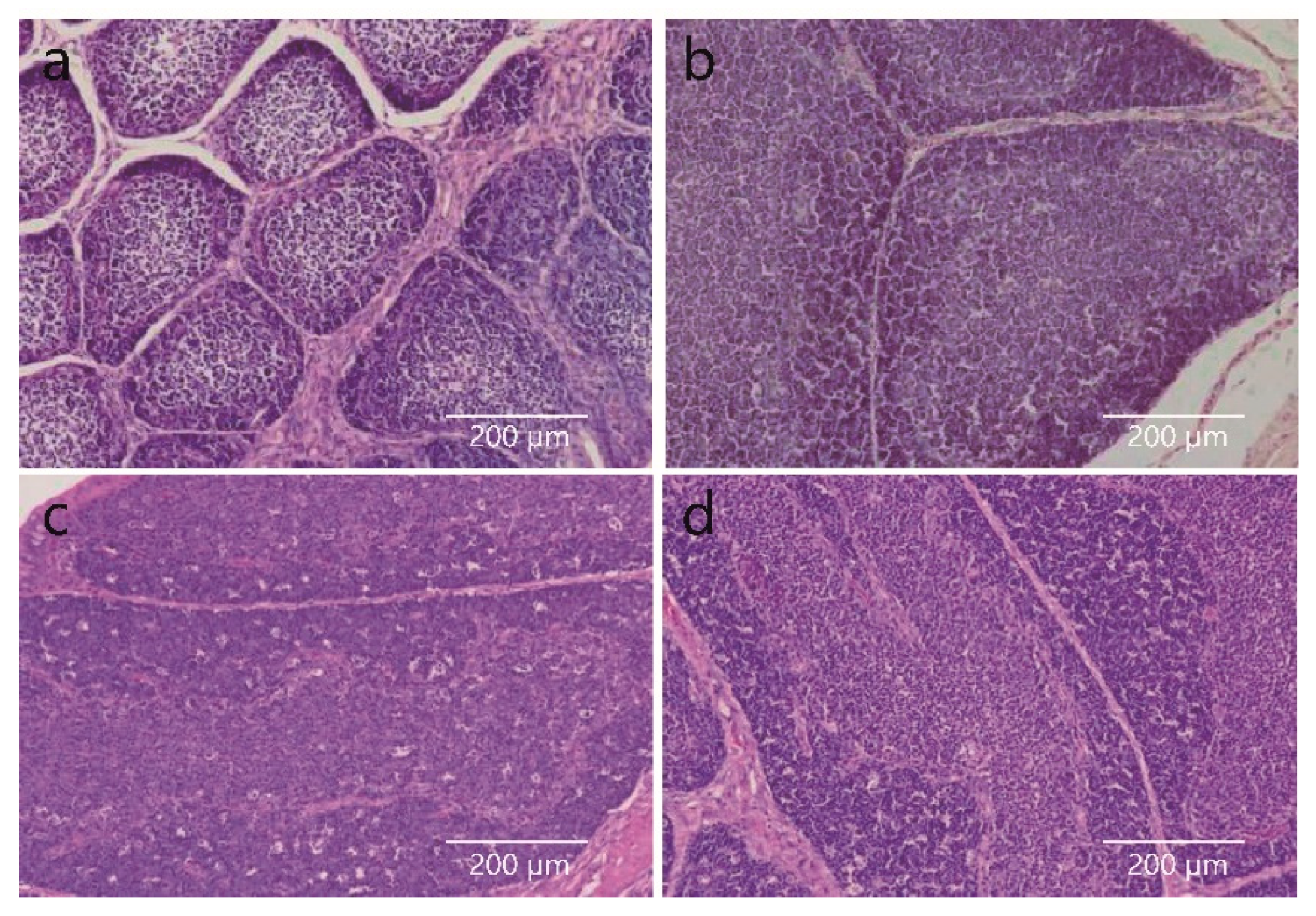 Agriculture 12 01194 g001