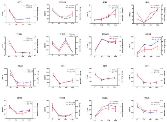 Agriculture | Free Full-Text | Time-Course Transcriptome Landscape of ...