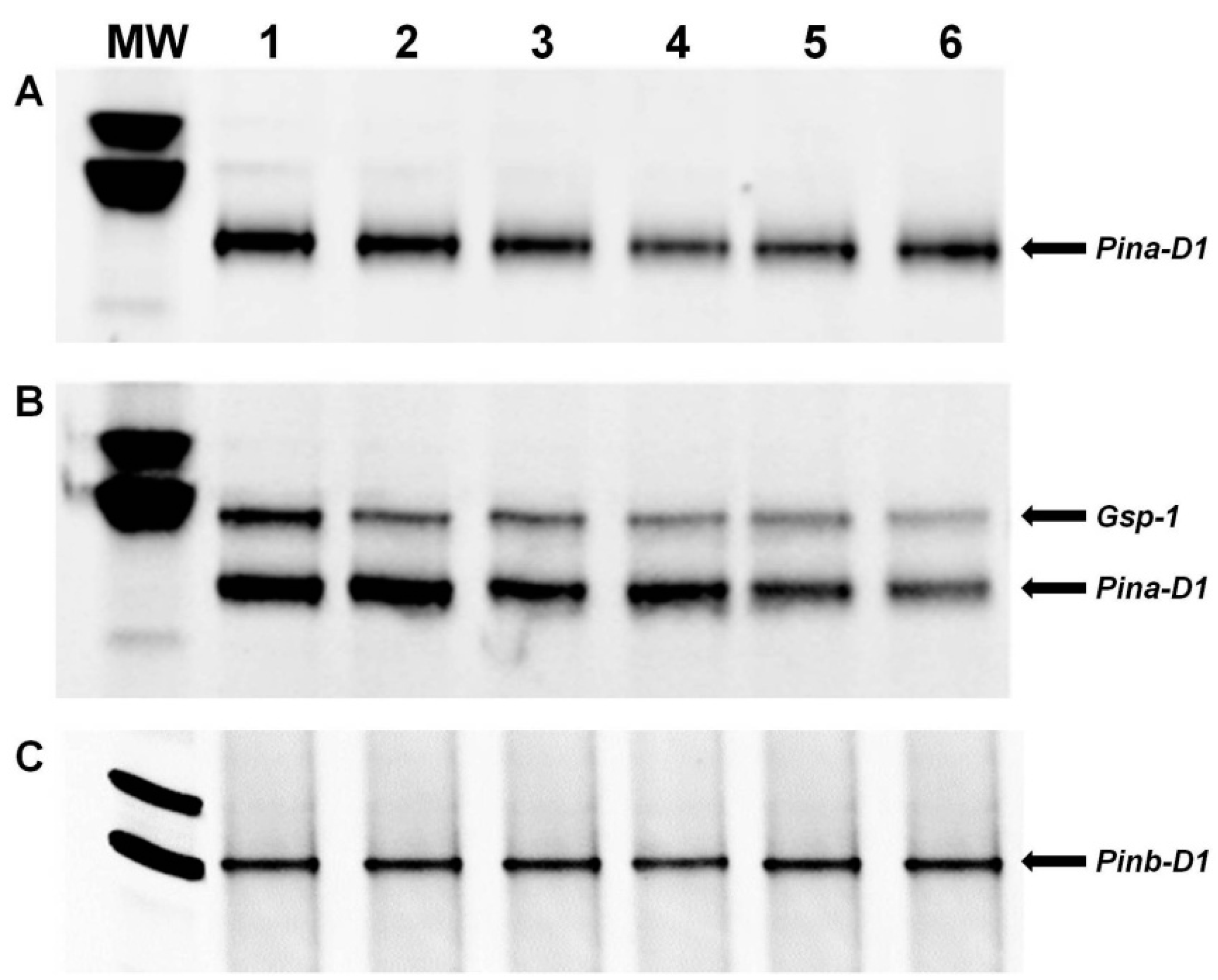 Agriculture 12 01196 g002