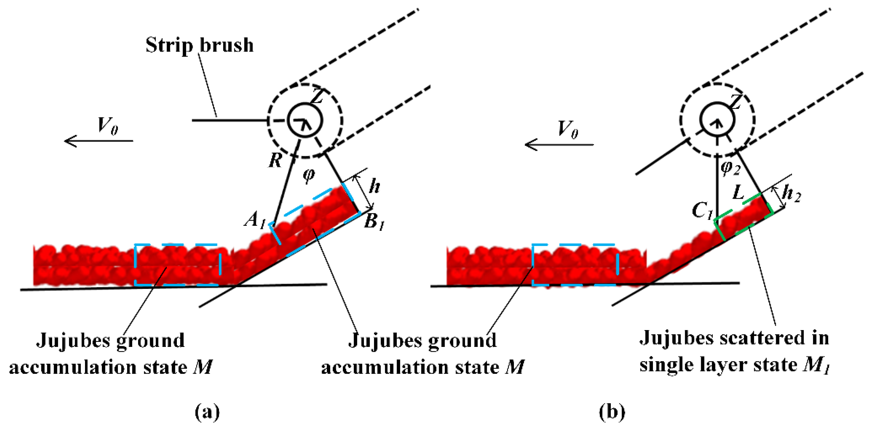 Agriculture 12 01203 g005