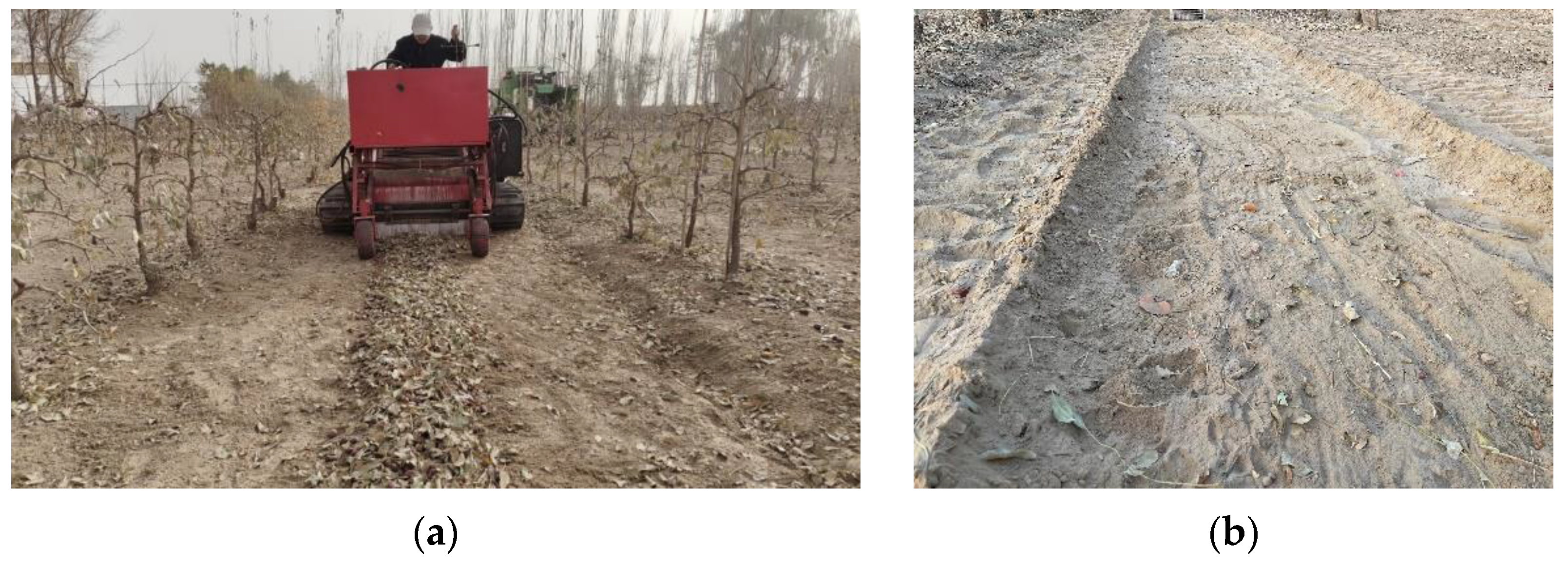 Agriculture 12 01203 g010