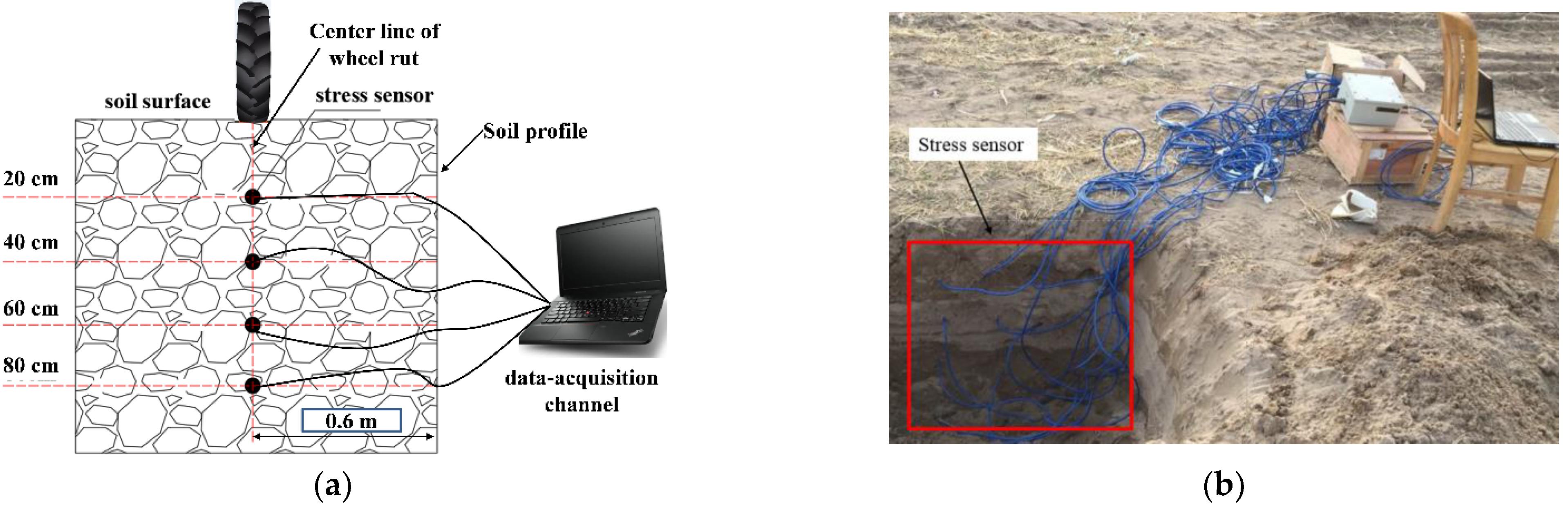 Agriculture 12 01220 g002