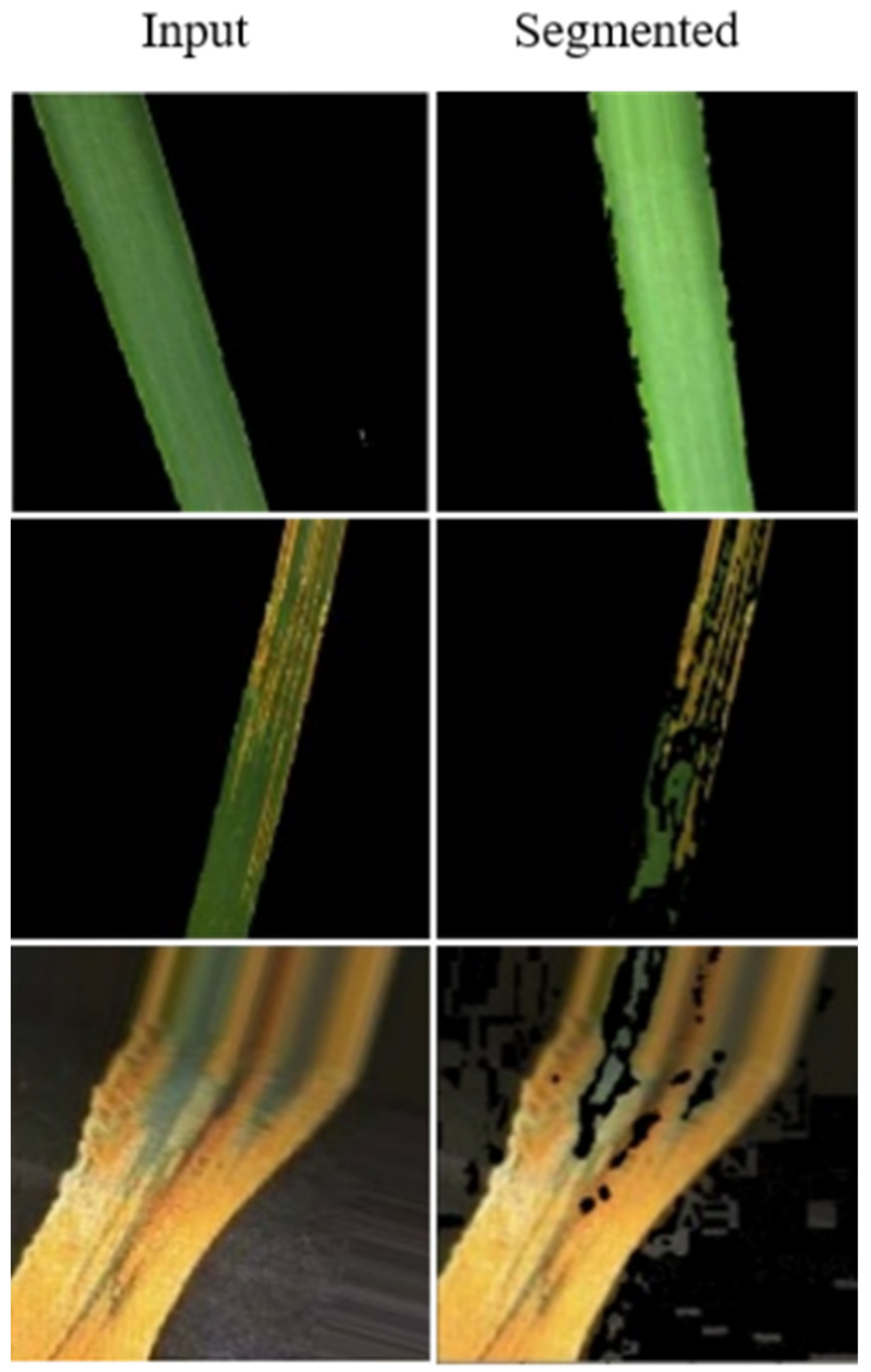 Agriculture 12 01226 g002