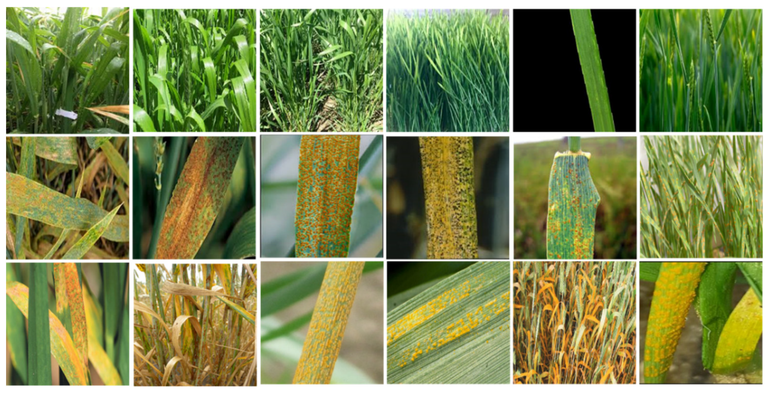 Agriculture 12 01226 g003