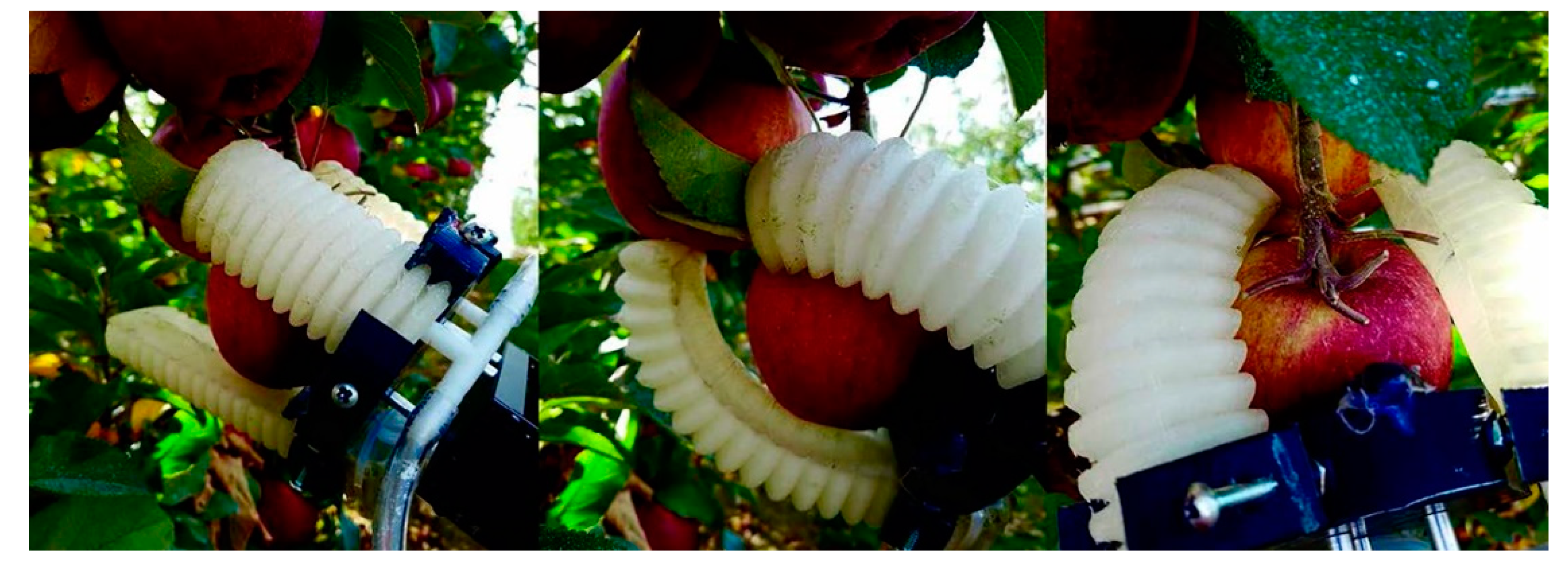 Agriculture 12 01240 g006