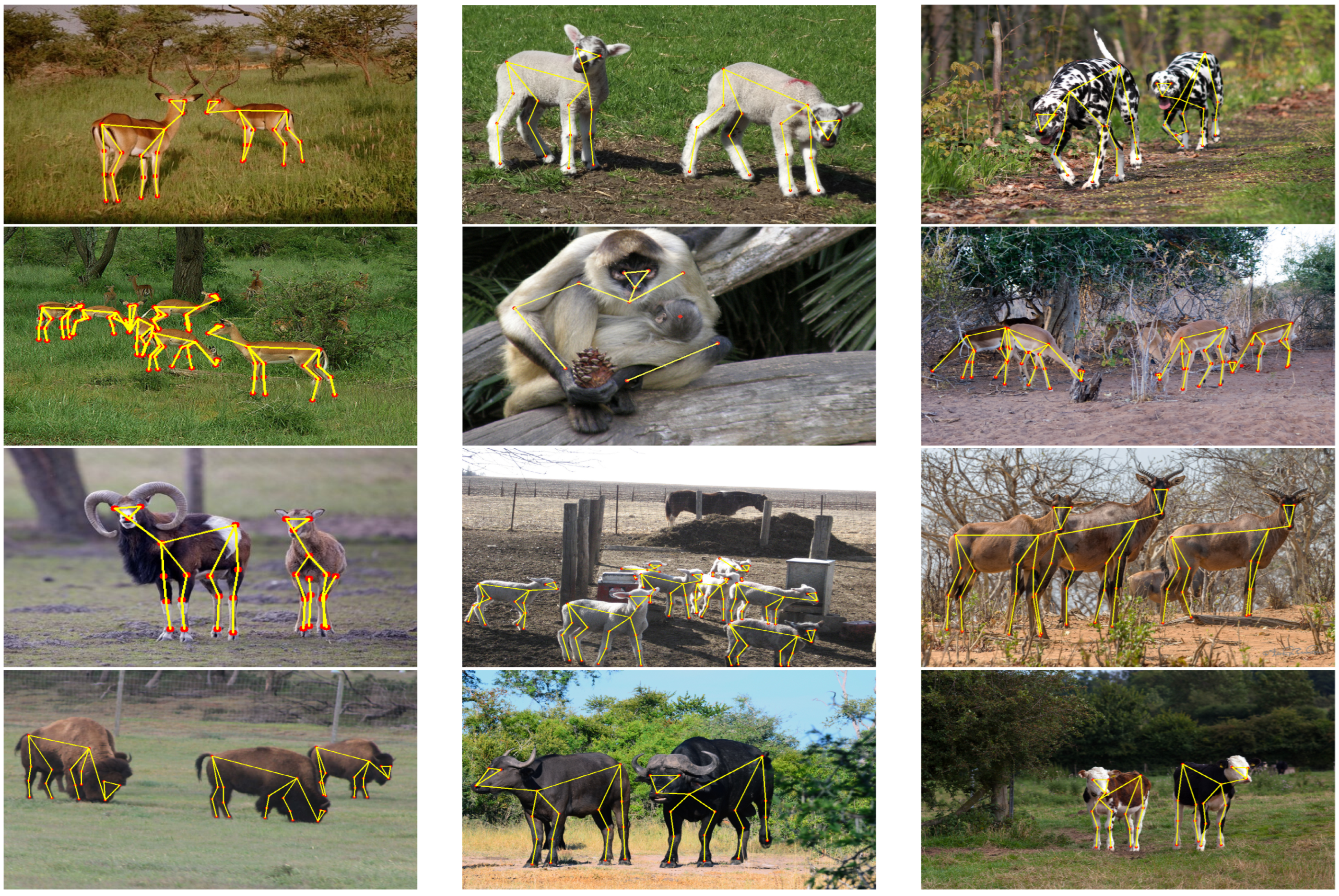 Agriculture 12 01280 g006