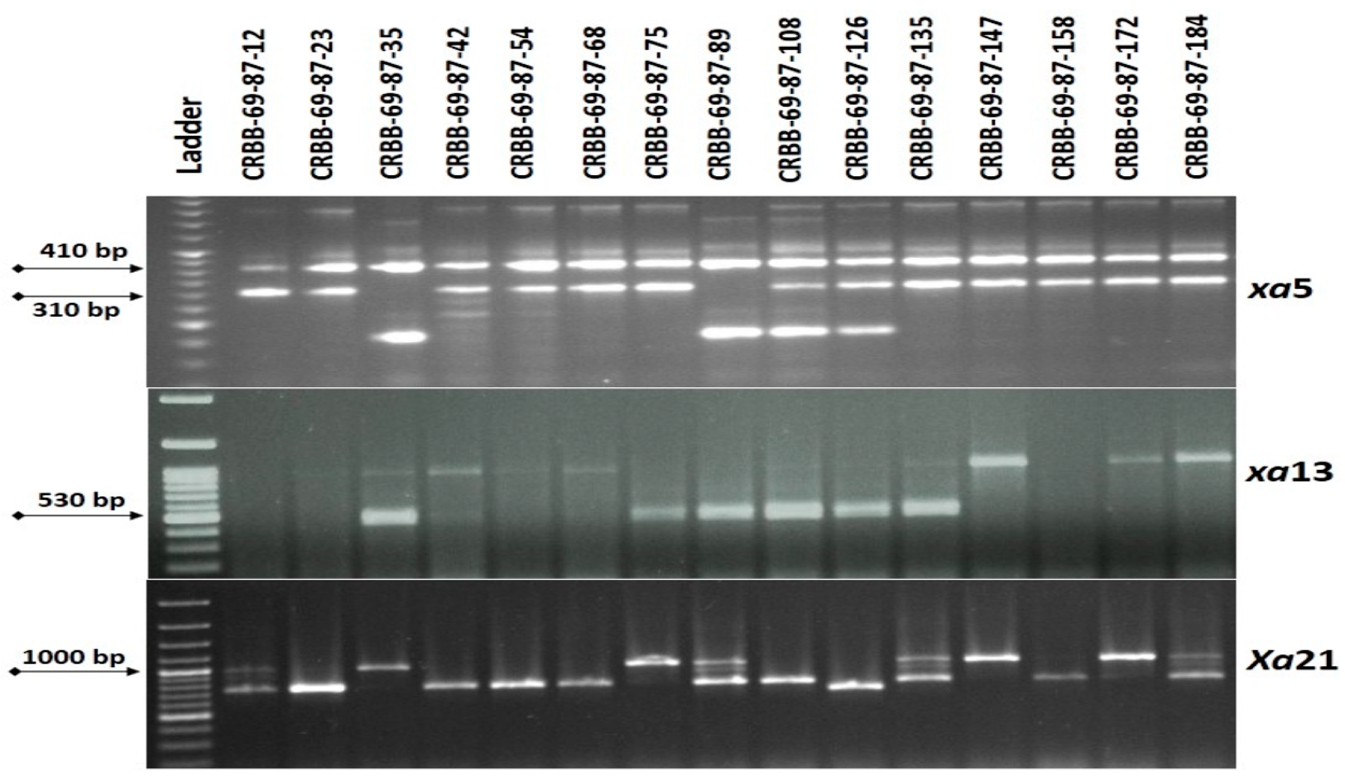 Agriculture 12 01287 g004 Agriculture 12 01287 g004