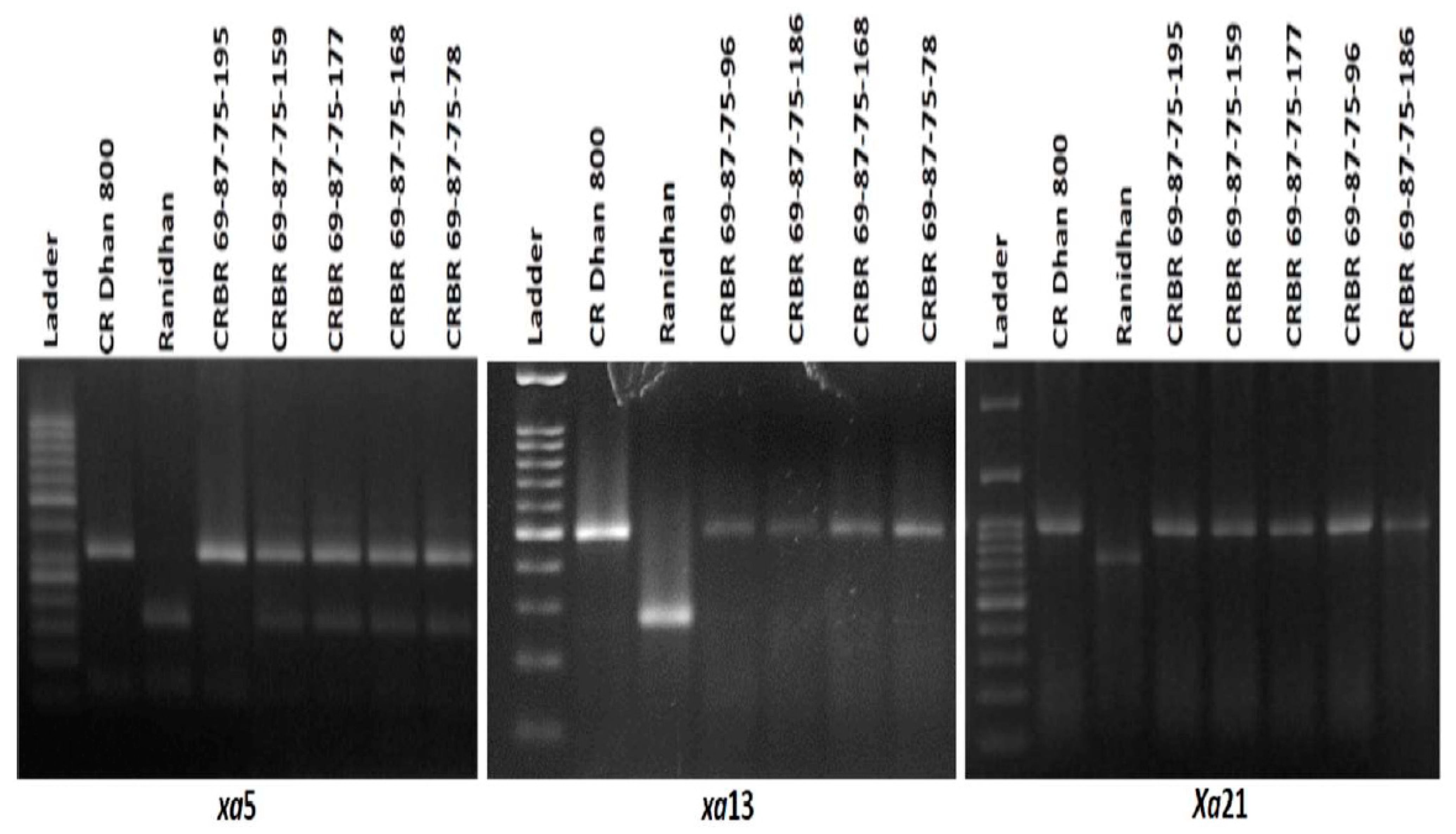 Agriculture 12 01287 g005 Agriculture 12 01287 g005