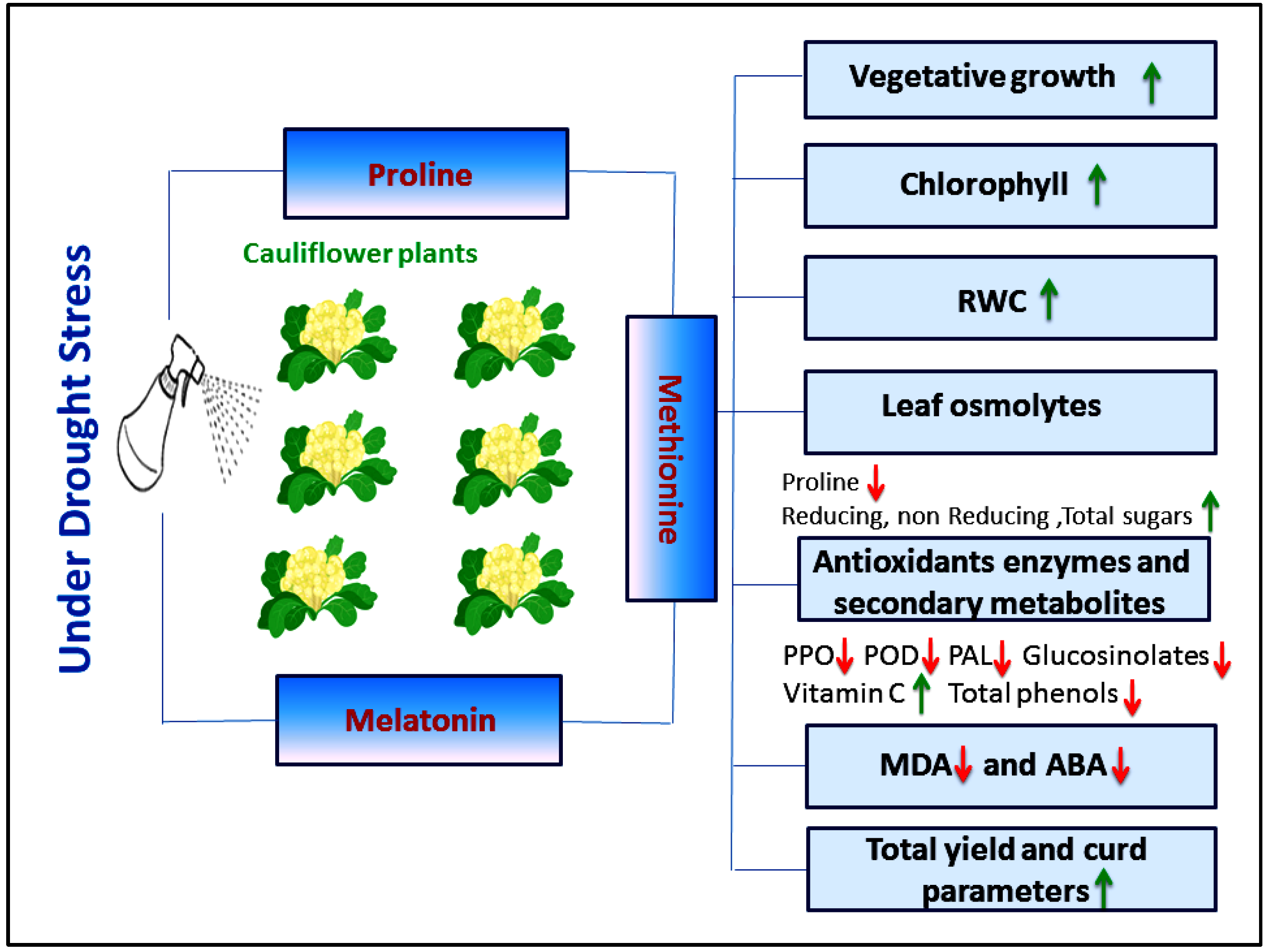 Agriculture 12 01301 g004