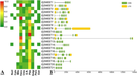 Agriculture | Free Full-Text | Genome-Wide Identification, In