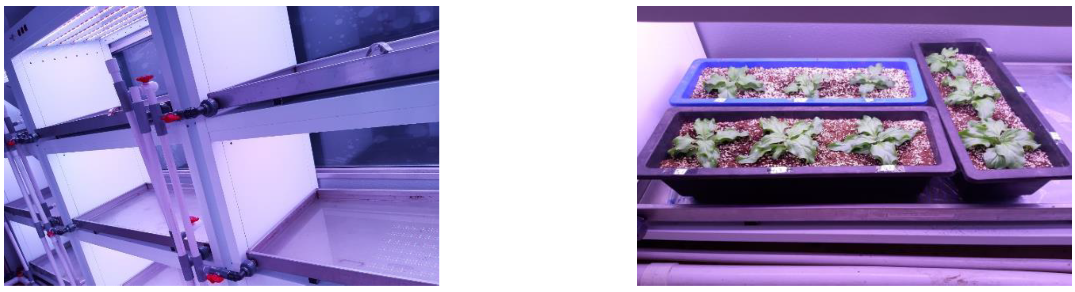 Agriculture 12 01321 g001 Agriculture 12 01321 g001