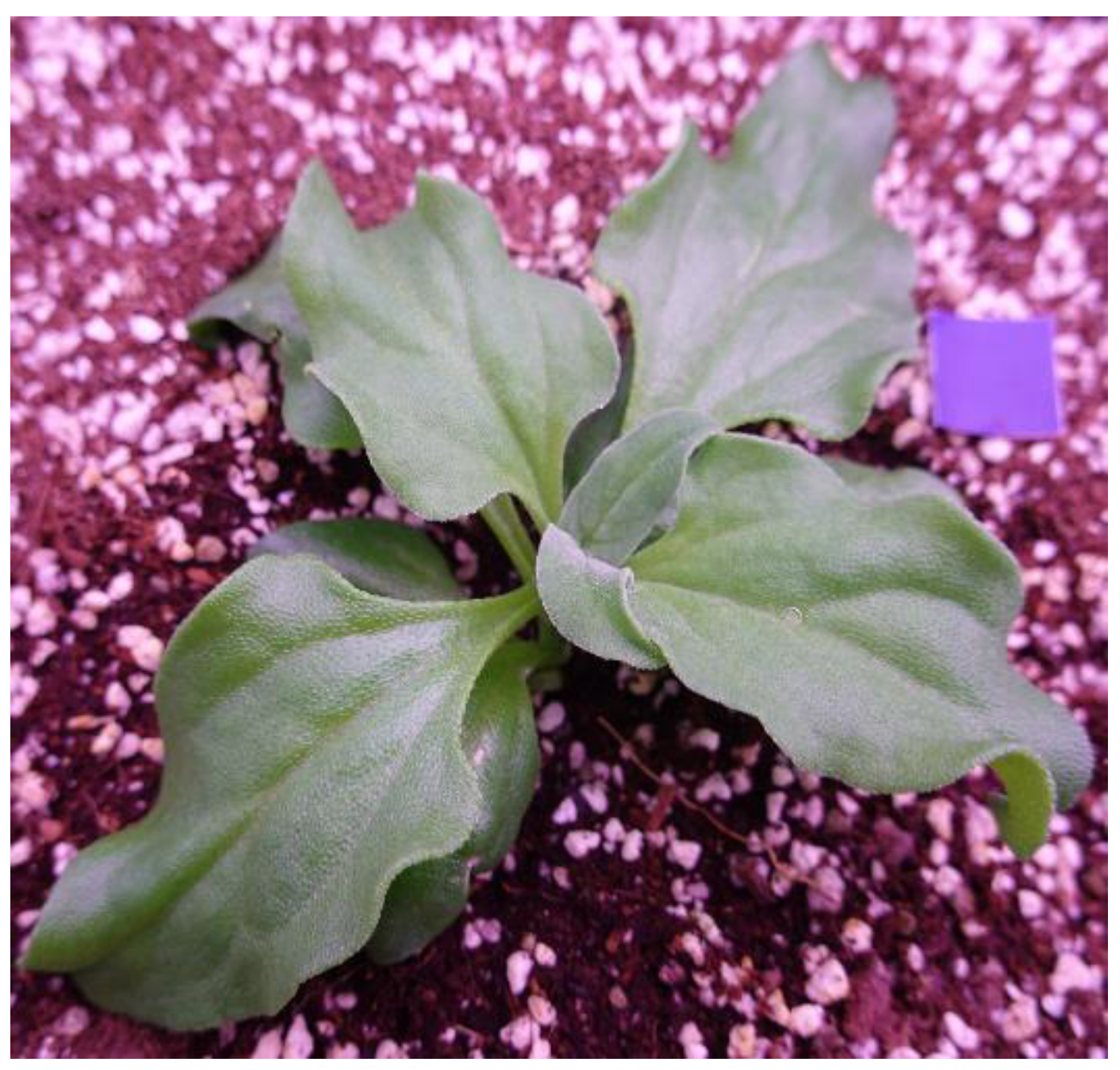 Agriculture 12 01321 g003 Agriculture 12 01321 g003