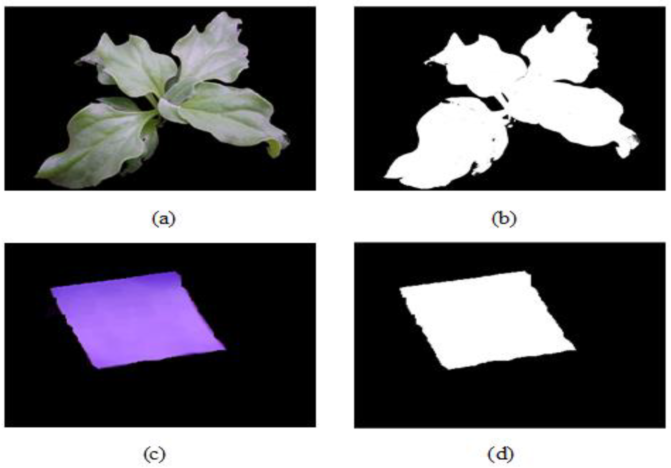 Agriculture 12 01321 g004 Agriculture 12 01321 g004