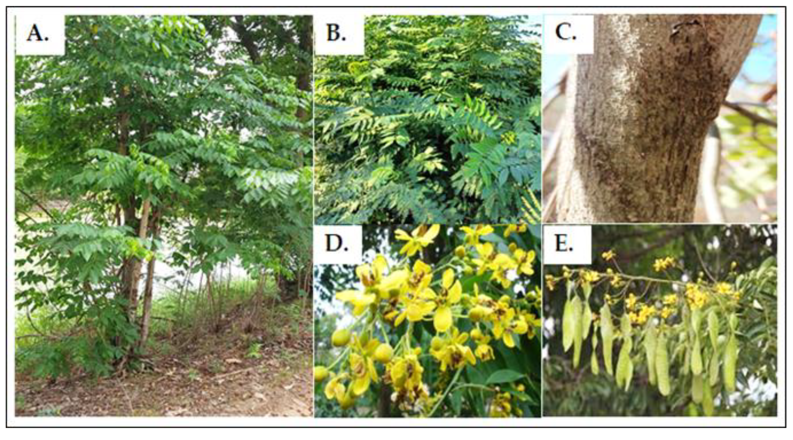 Agriculture 12 01338 g001 Agriculture 12 01338 g001