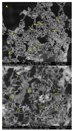 Agriculture Free Full Text Alleviation Of Sodic Stress In Rice By Exploring The Exopolysaccharide Producing Sodic Tolerant Bacteria Html