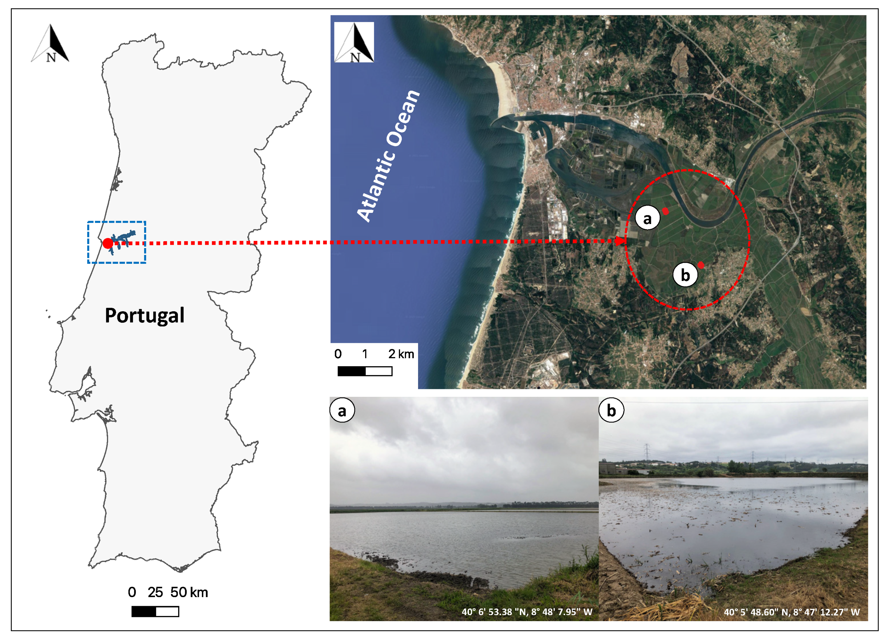 Agriculture 12 01490 g001 Agriculture 12 01490 g001