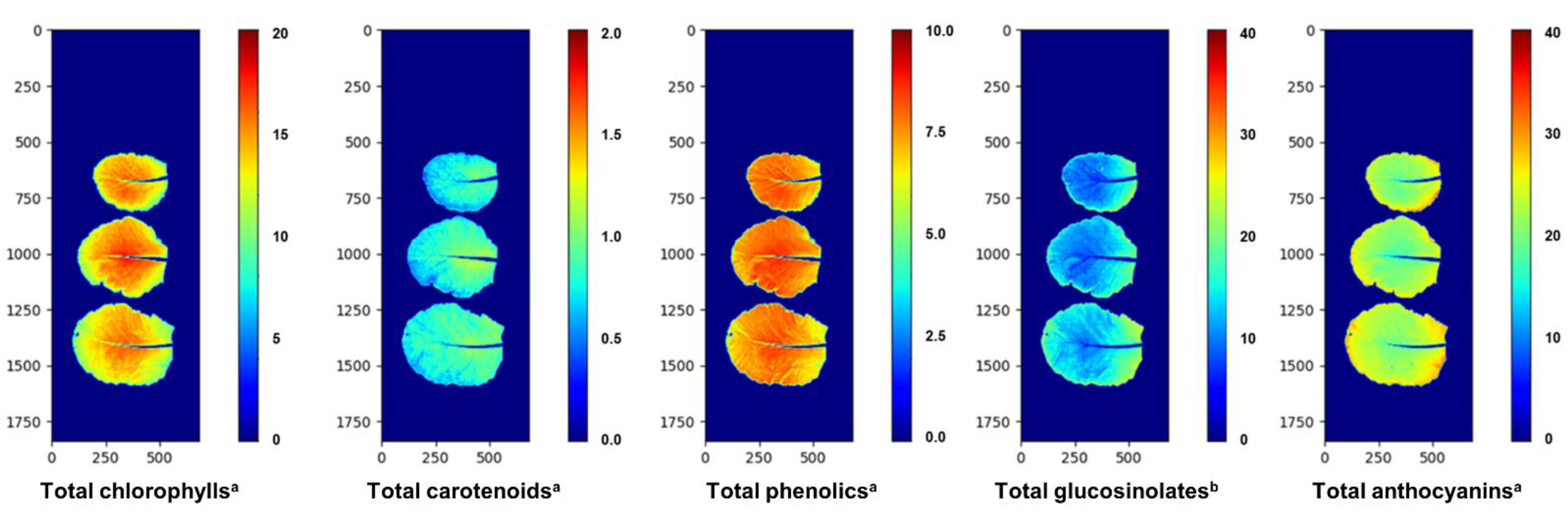 Agriculture 12 01515 g006