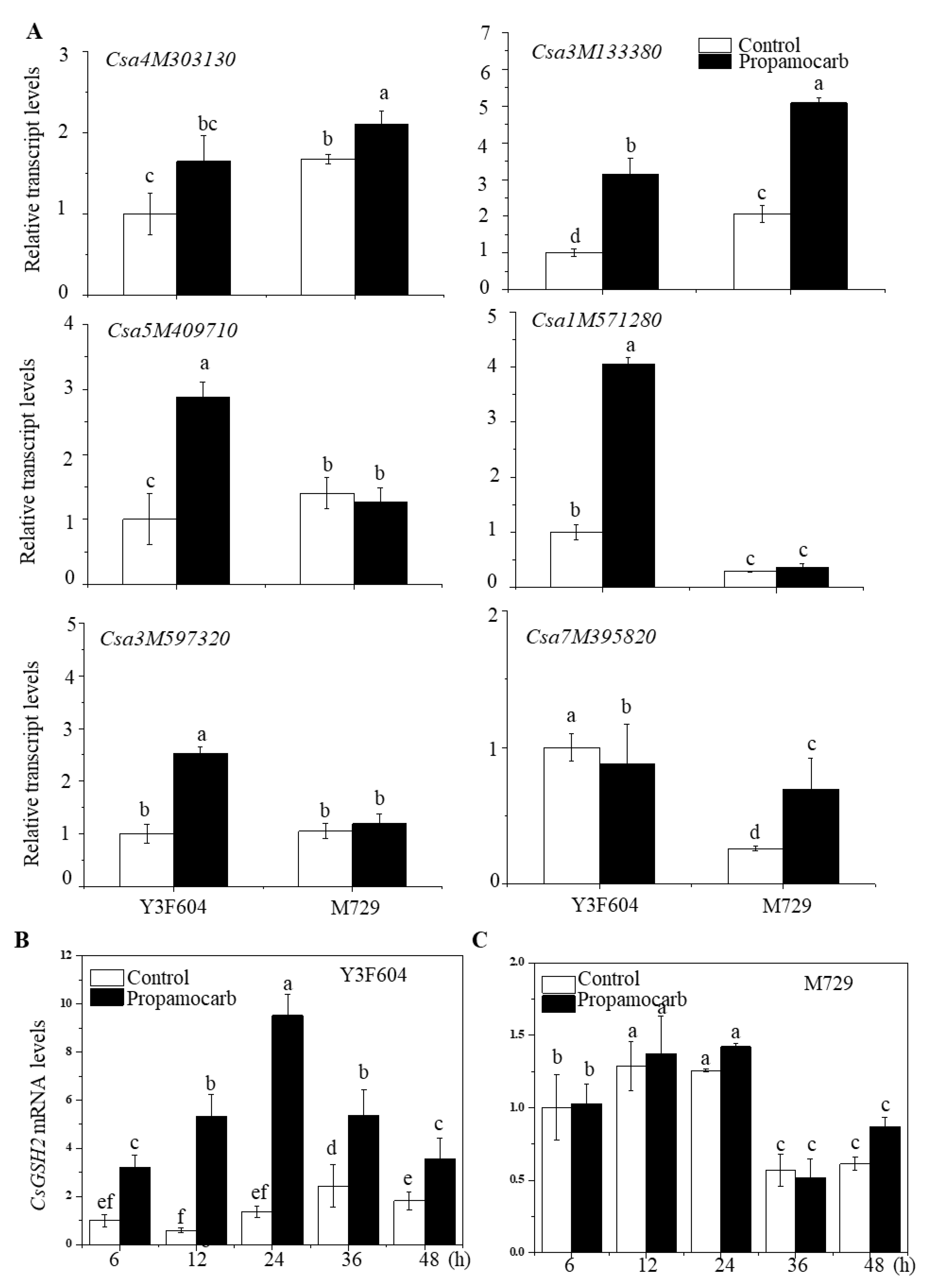 Agriculture 12 01528 g002