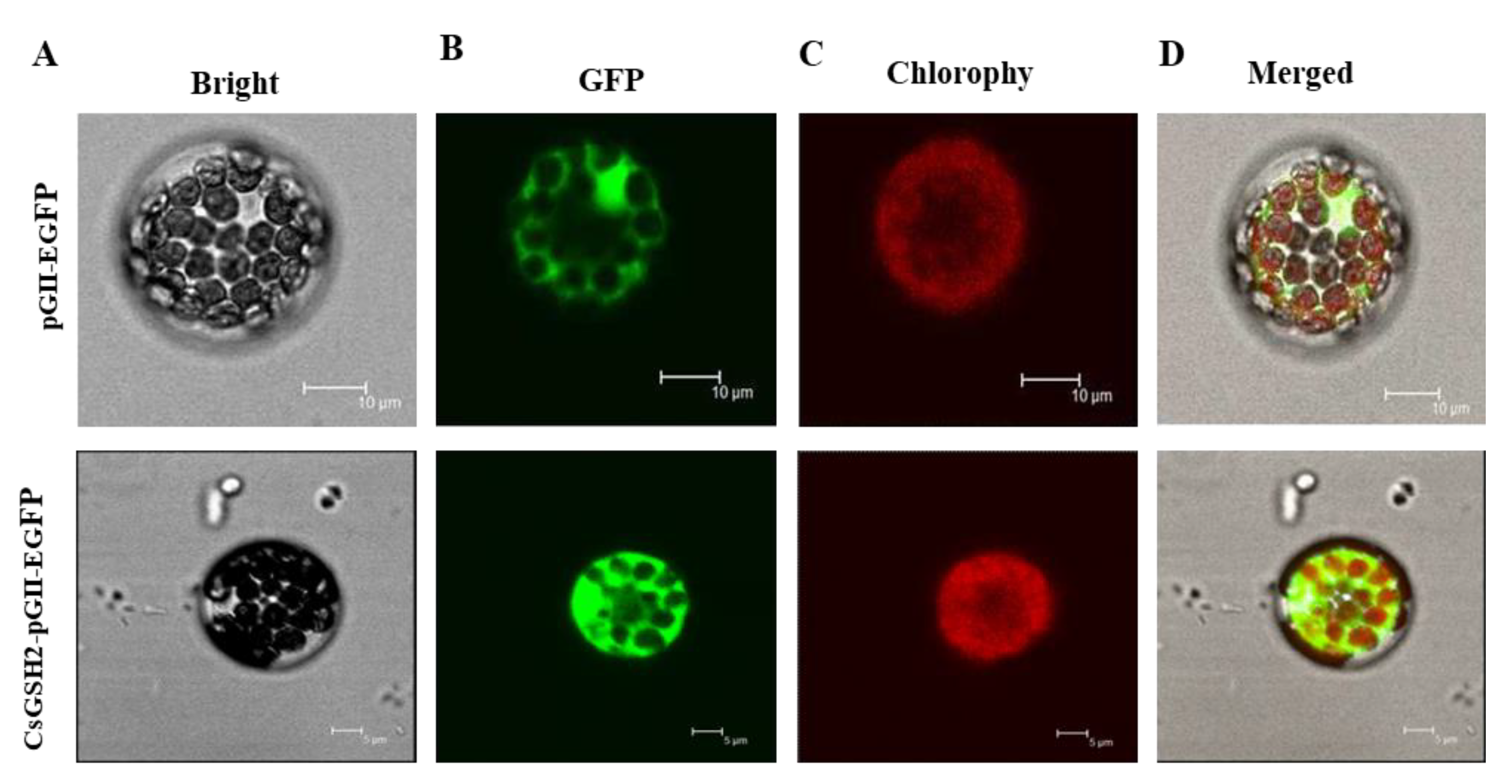 Agriculture 12 01528 g003